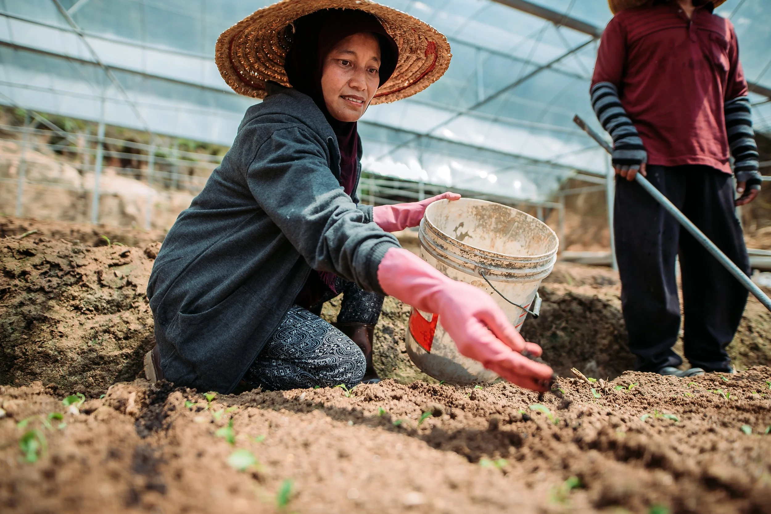 Beanstalk AgTech announces the launch of Monsoon Ventures to accelerate agtech commercialisation in Southeast Asia