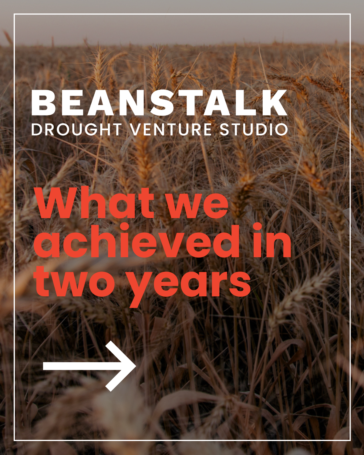 A field of ripe wheat with a sunset sky in the background, overlaid with text promoting a venture studio's achievements.