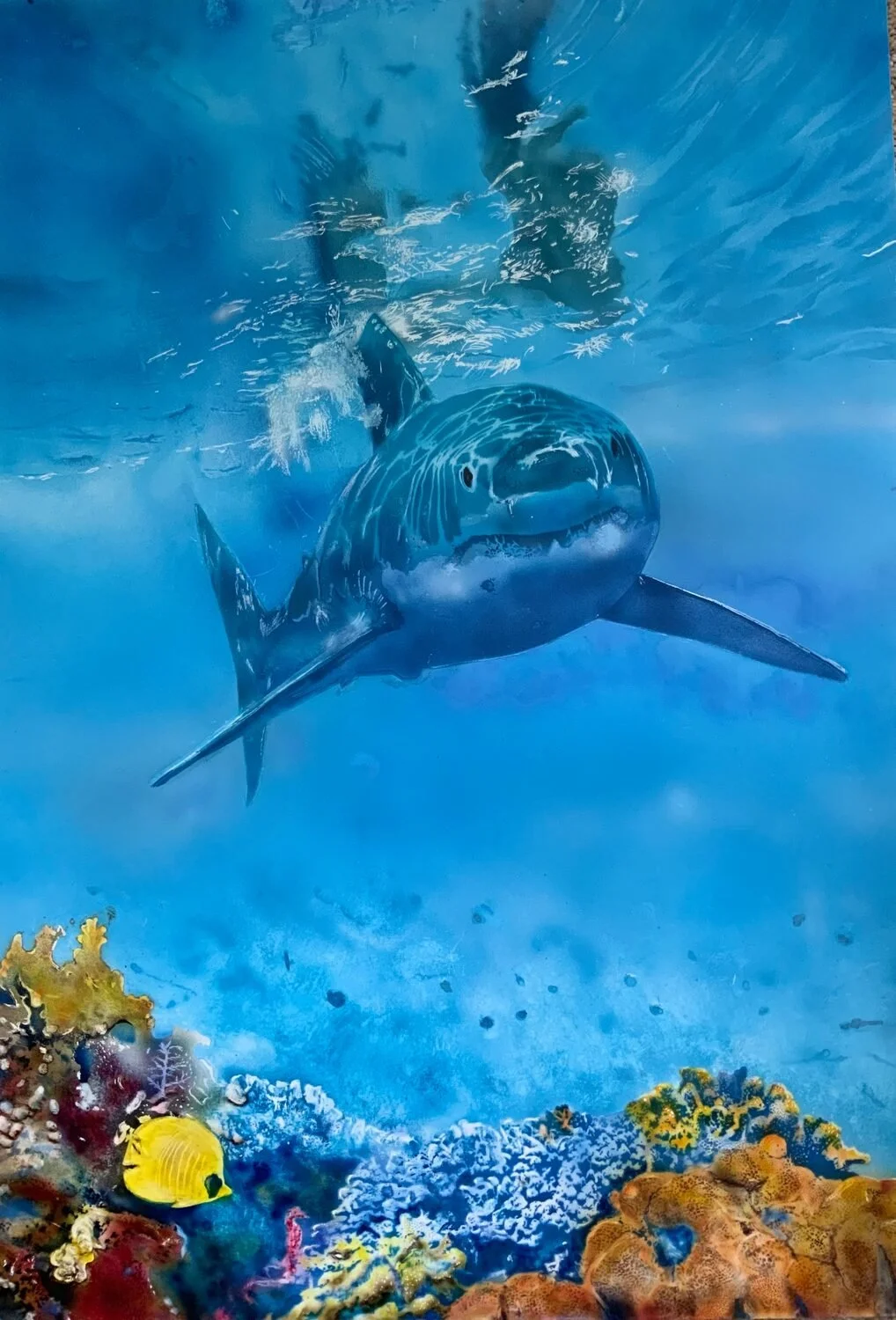  Great White Reef  — Kathleen Fietz — acrylic — 18x12 inches — $1,000 sale pending