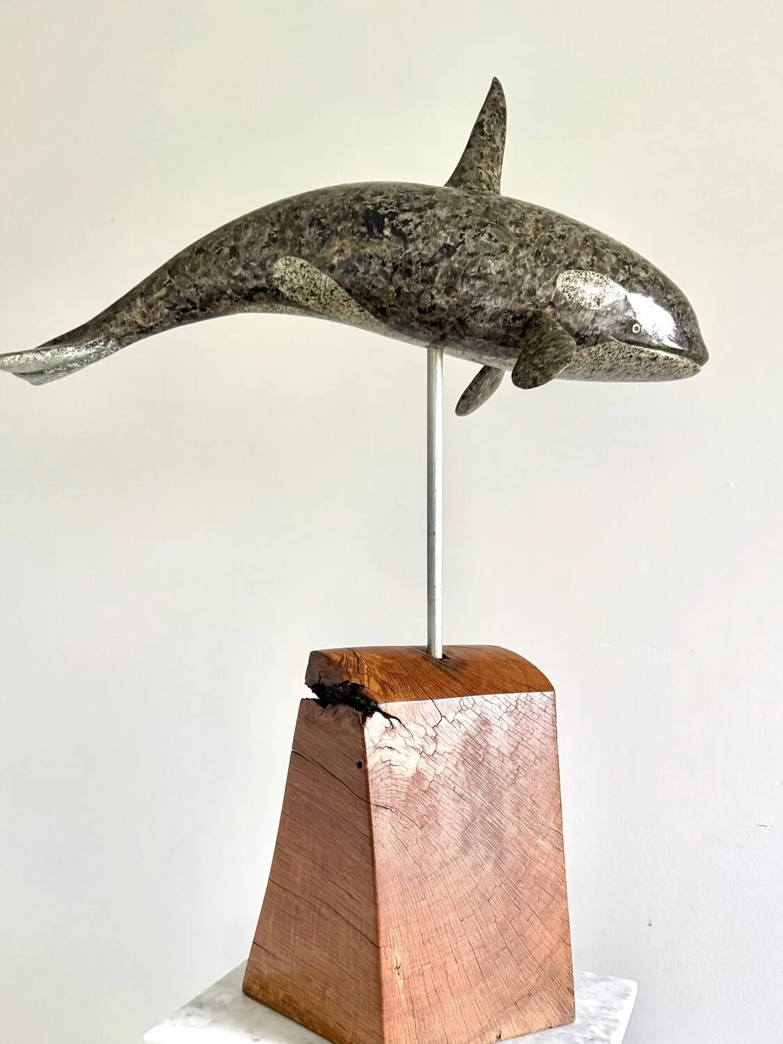  Orca Whale  — Craig Pederson — sculpture — 5 x 24 x 5 inches