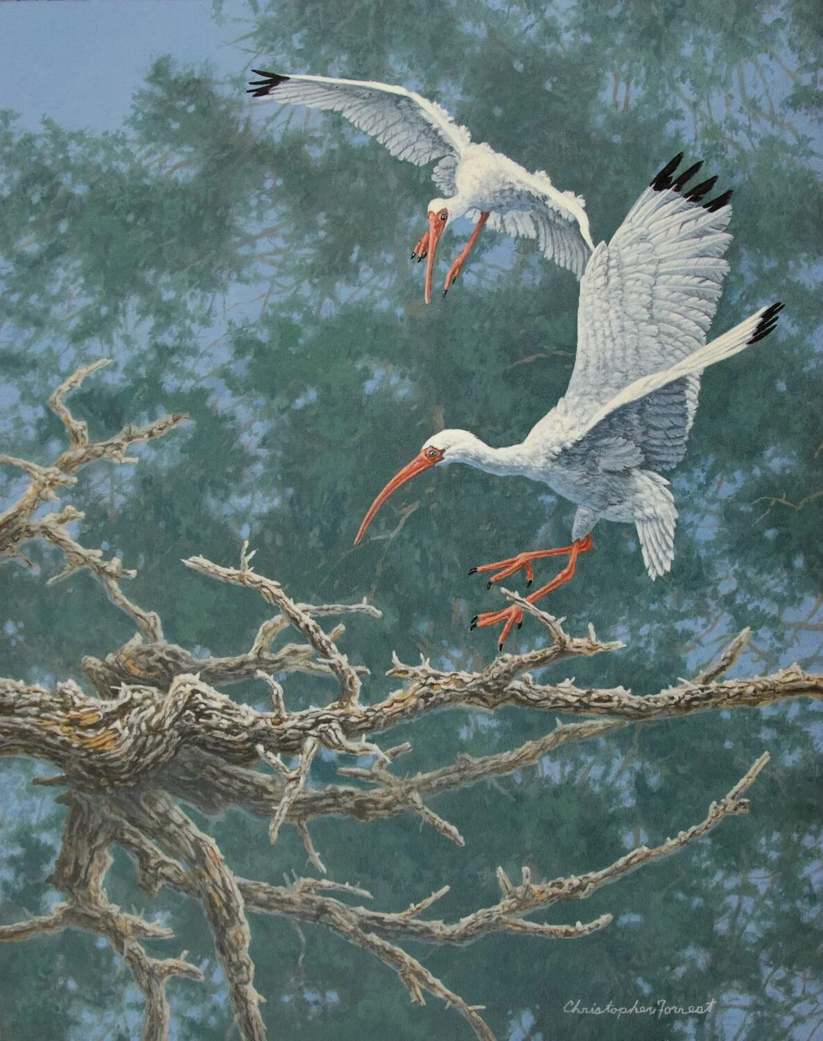  We’ve Only Just Begun  — Christopher Forrest — oil — 20 x 16 inches