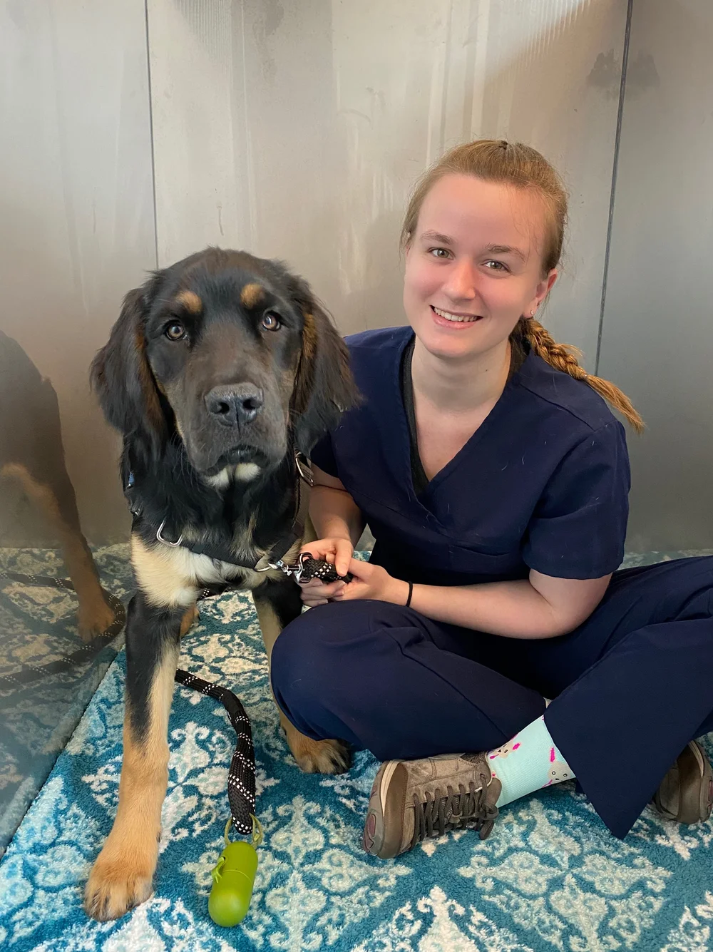 Our Team — Brooklyn Yard Veterinary Hospital