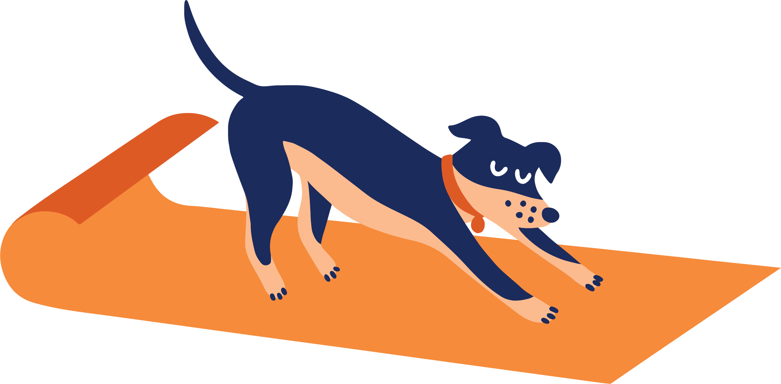 Illustration of a dog in a yoga stretch pose on an orange yoga mat, with simple and flat design style.