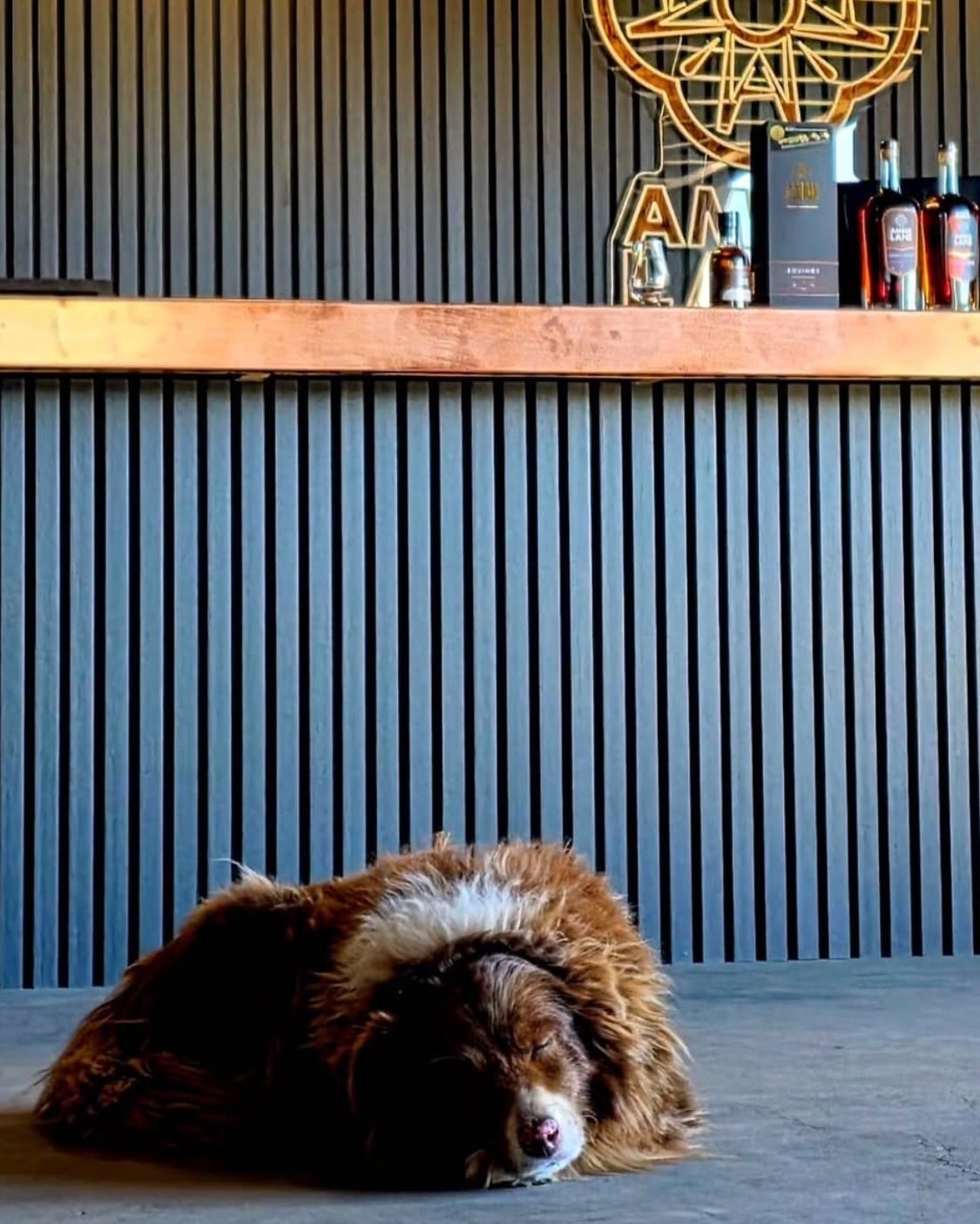 That feeling between Christmas &amp; New Year when you don't know what day it is, you've eaten way too many left-overs &amp; napping is essential...