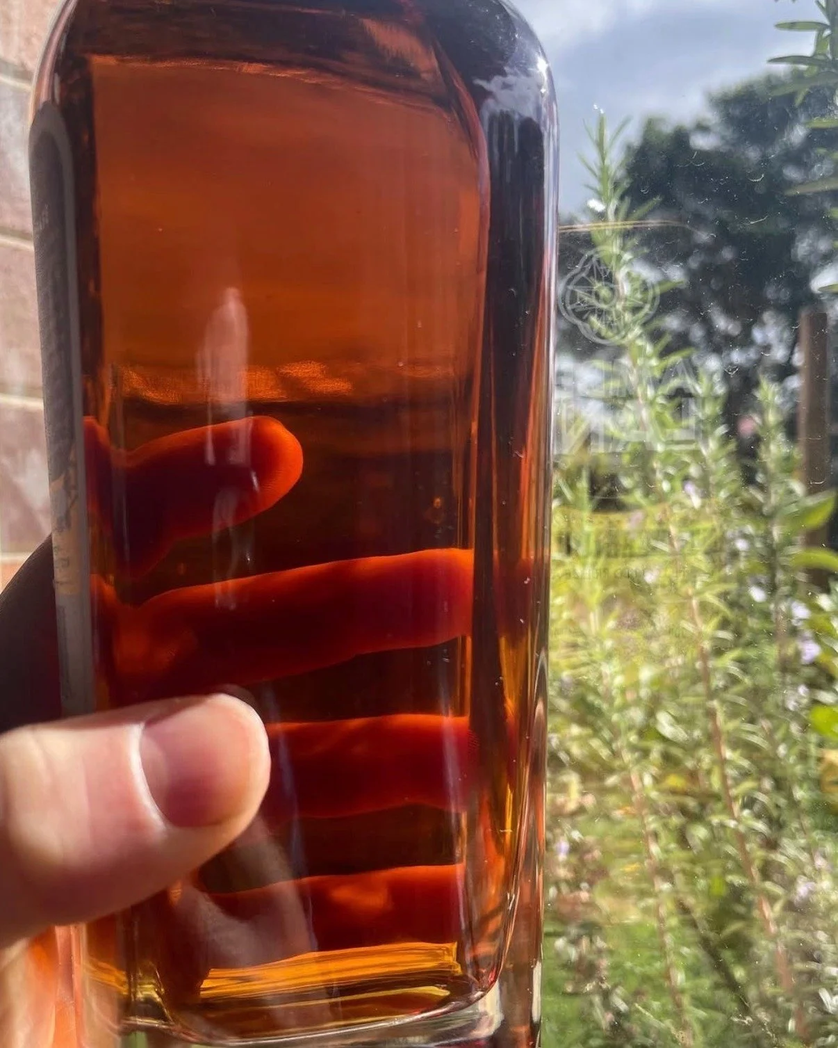 Something Rue is coming...

One of our most highly-anticipated second releases is dropping next week, but you'll need to be on our email subscriber list for the details.

Haven't signed up? Head to our website to subscribe - all will be revealed afte