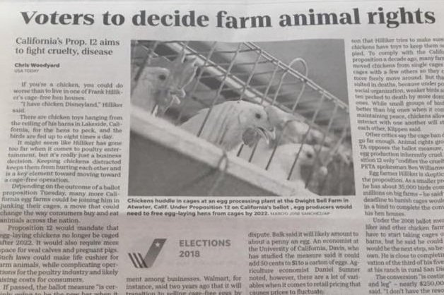 the surprised look on their severed heads was priceless