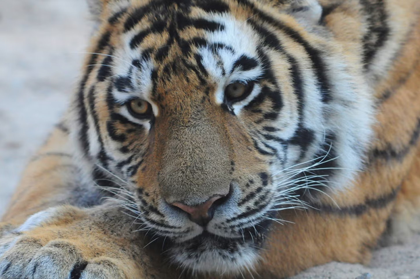 Redundant Circles Never Leading Anywhere