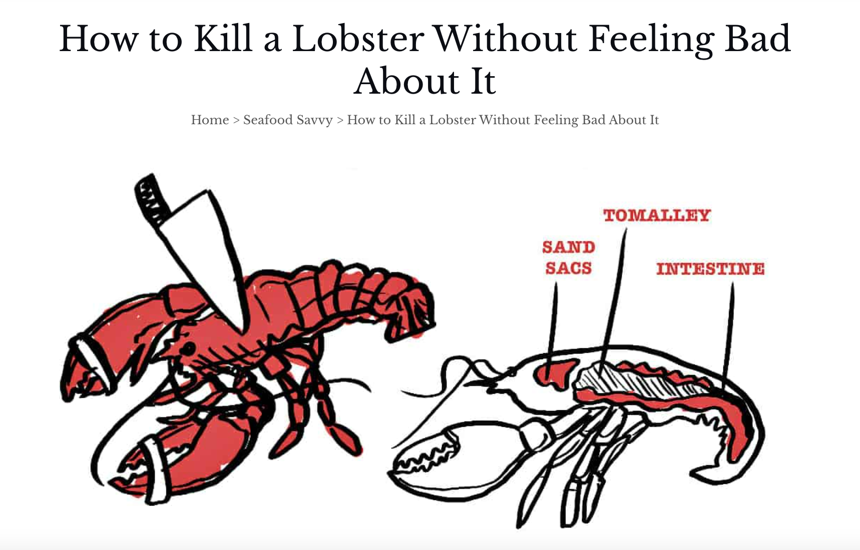 How to Kill a Lobster Without Feeling Bad About It