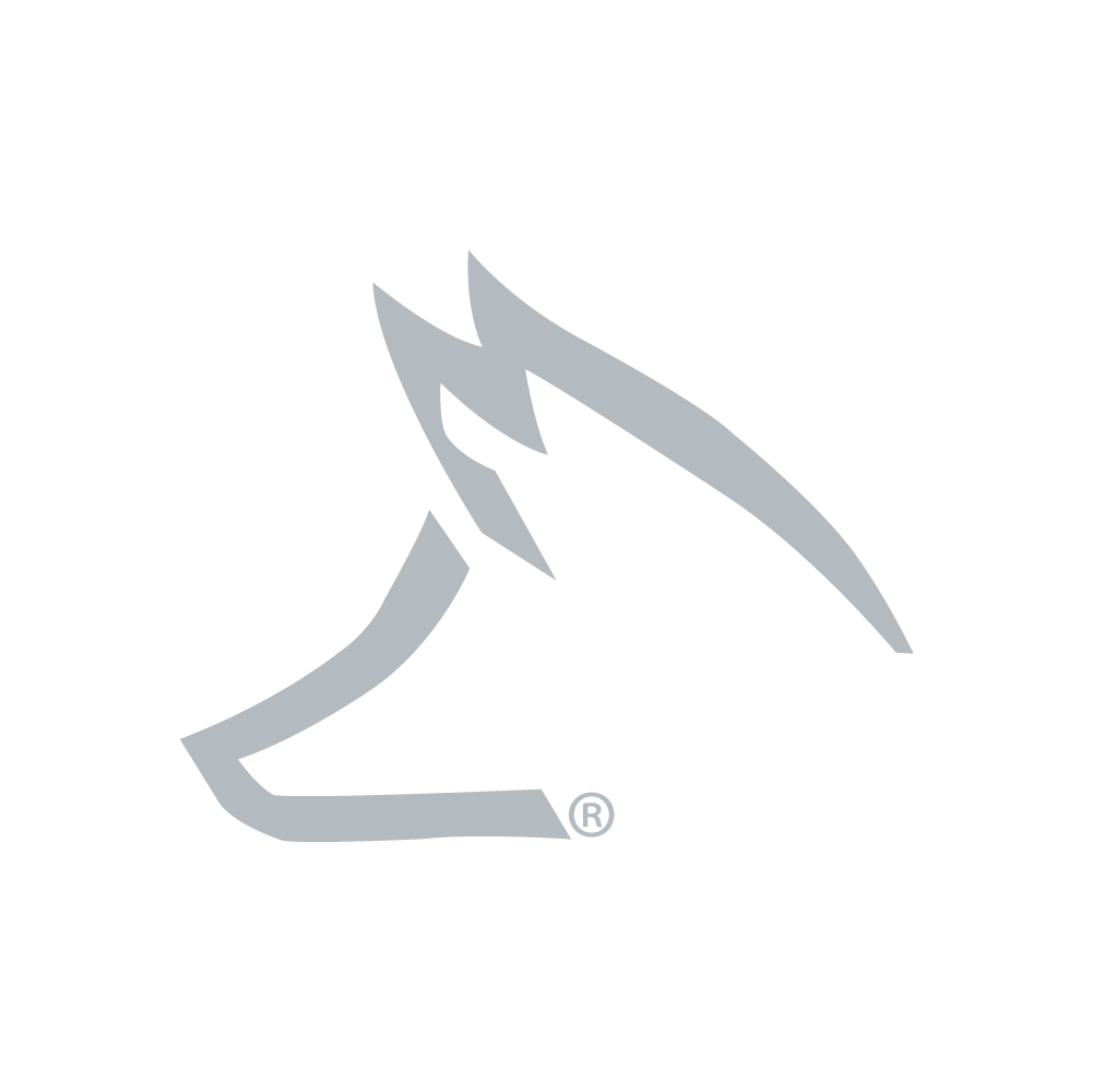 Client-Logo_FoxHead.png