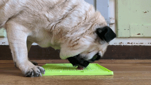 Lickimat Slomo Enrichment Mat for Dogs and Cats 