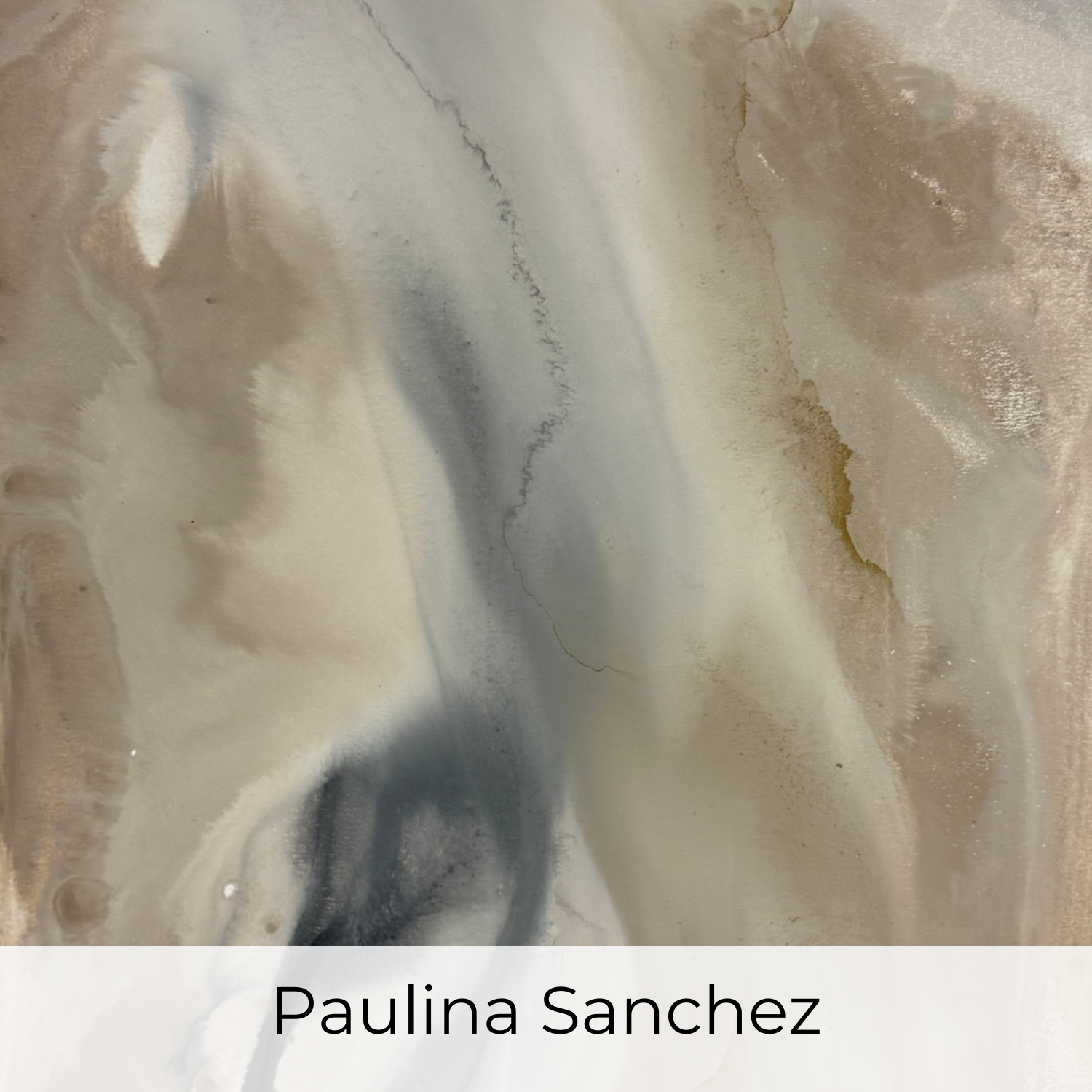 Paulina Sanchez.png