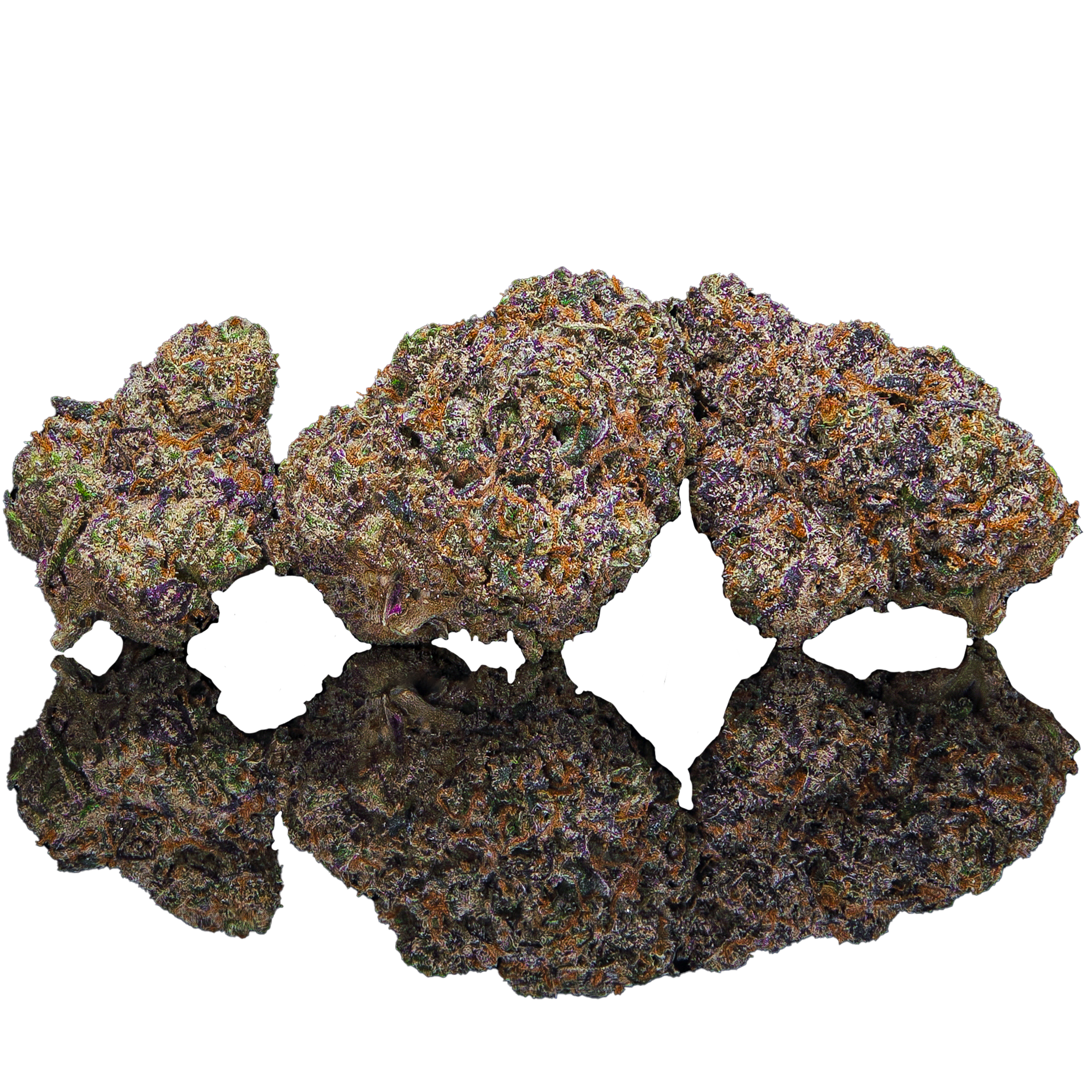 Cream Of The Crop Connoisseur Flower