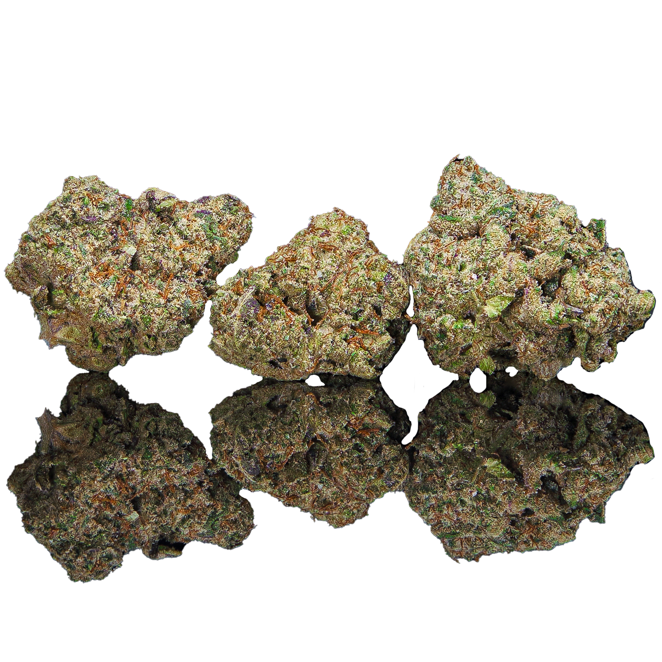 Cream Of The Crop Connoisseur Flower