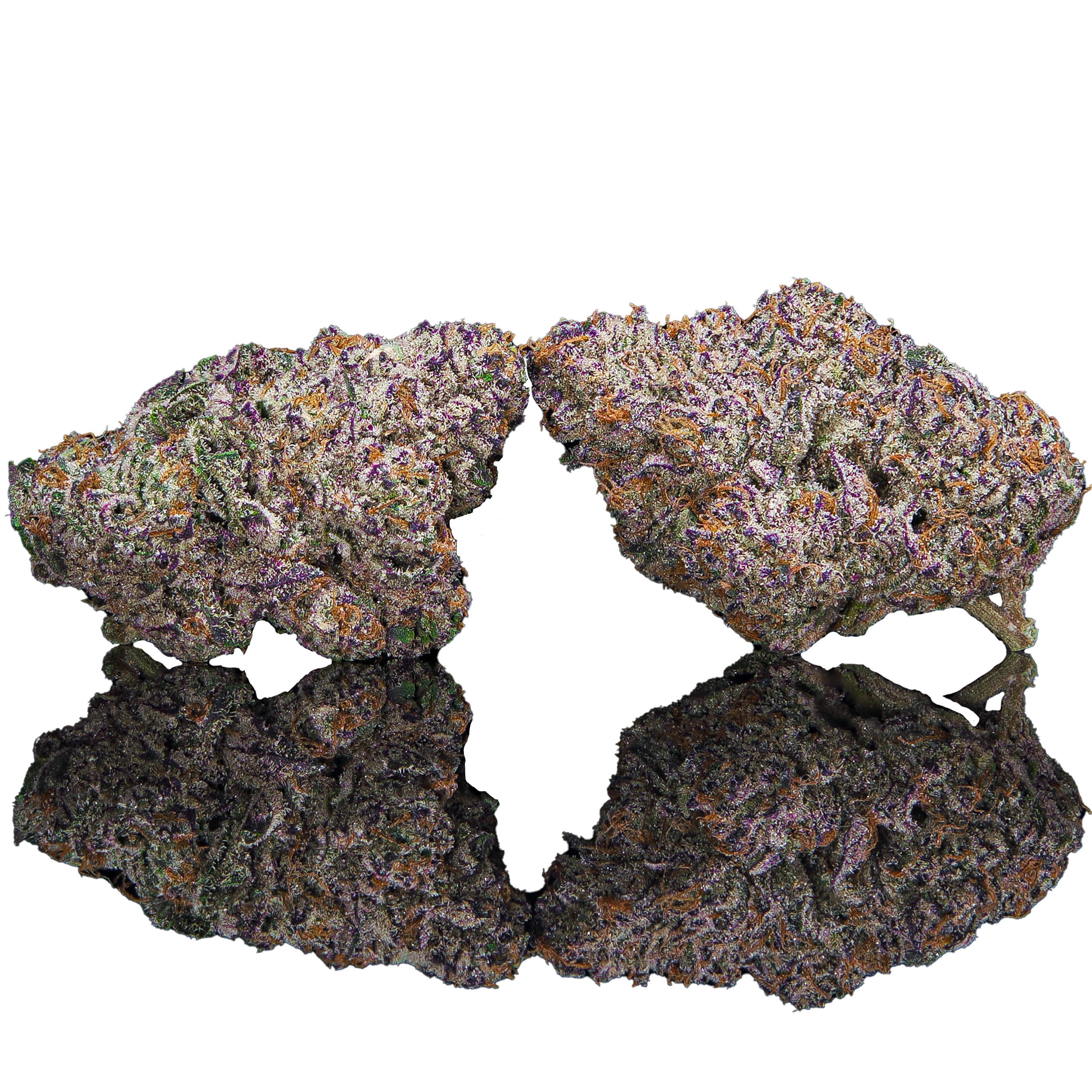 Cream Of The Crop Connoisseur Flower