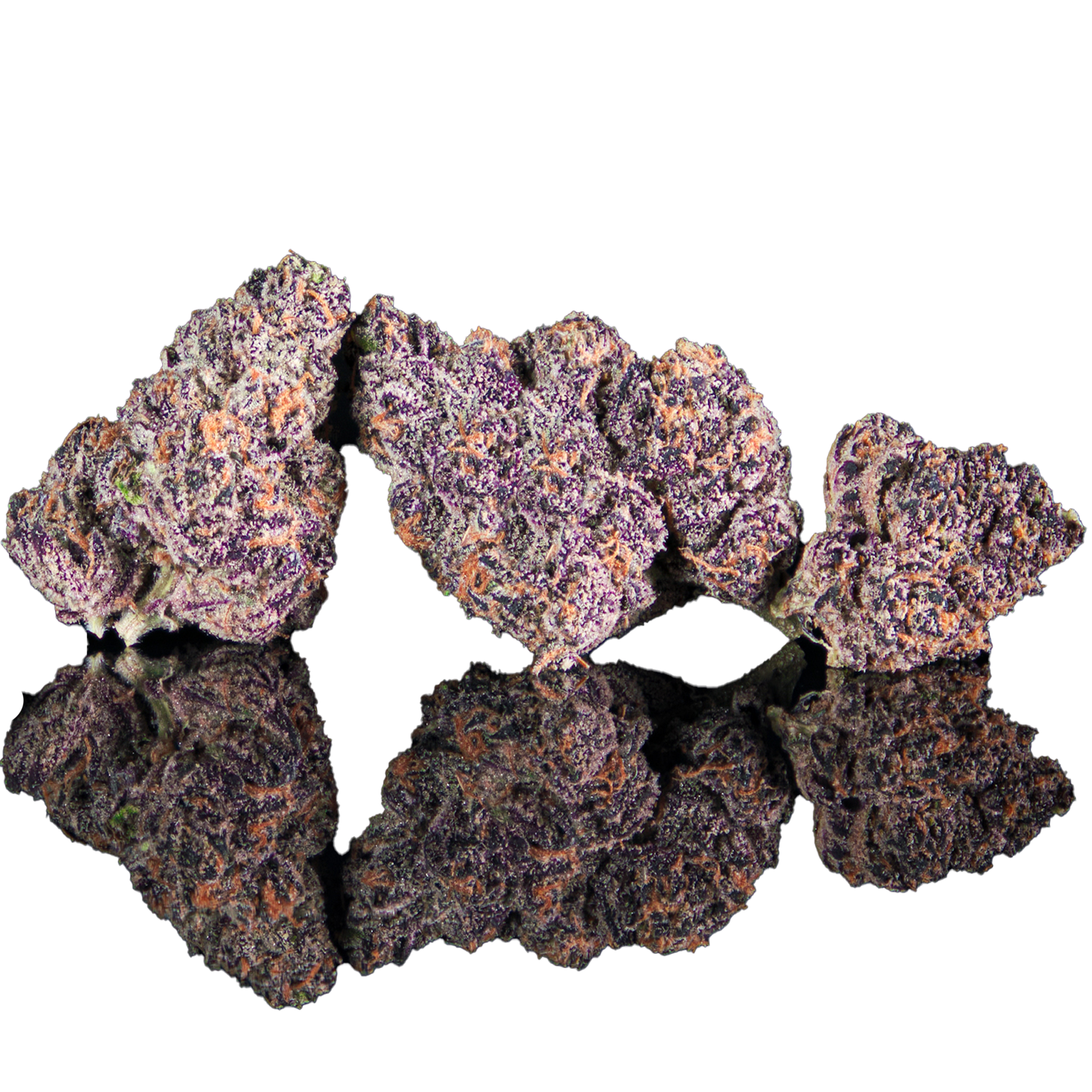 Cream Of The Crop Connoisseur Flower
