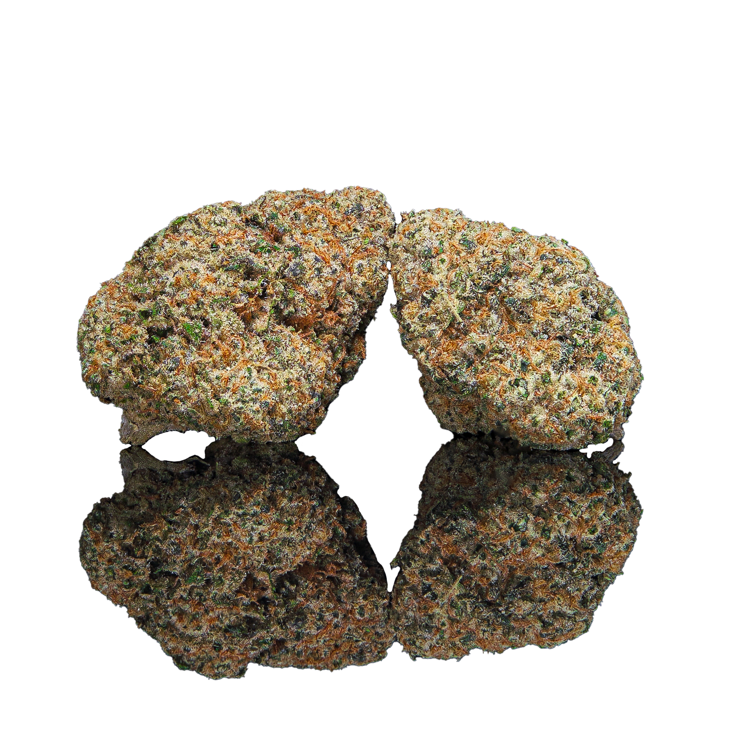 Cream Of The Crop Connoisseur Flower