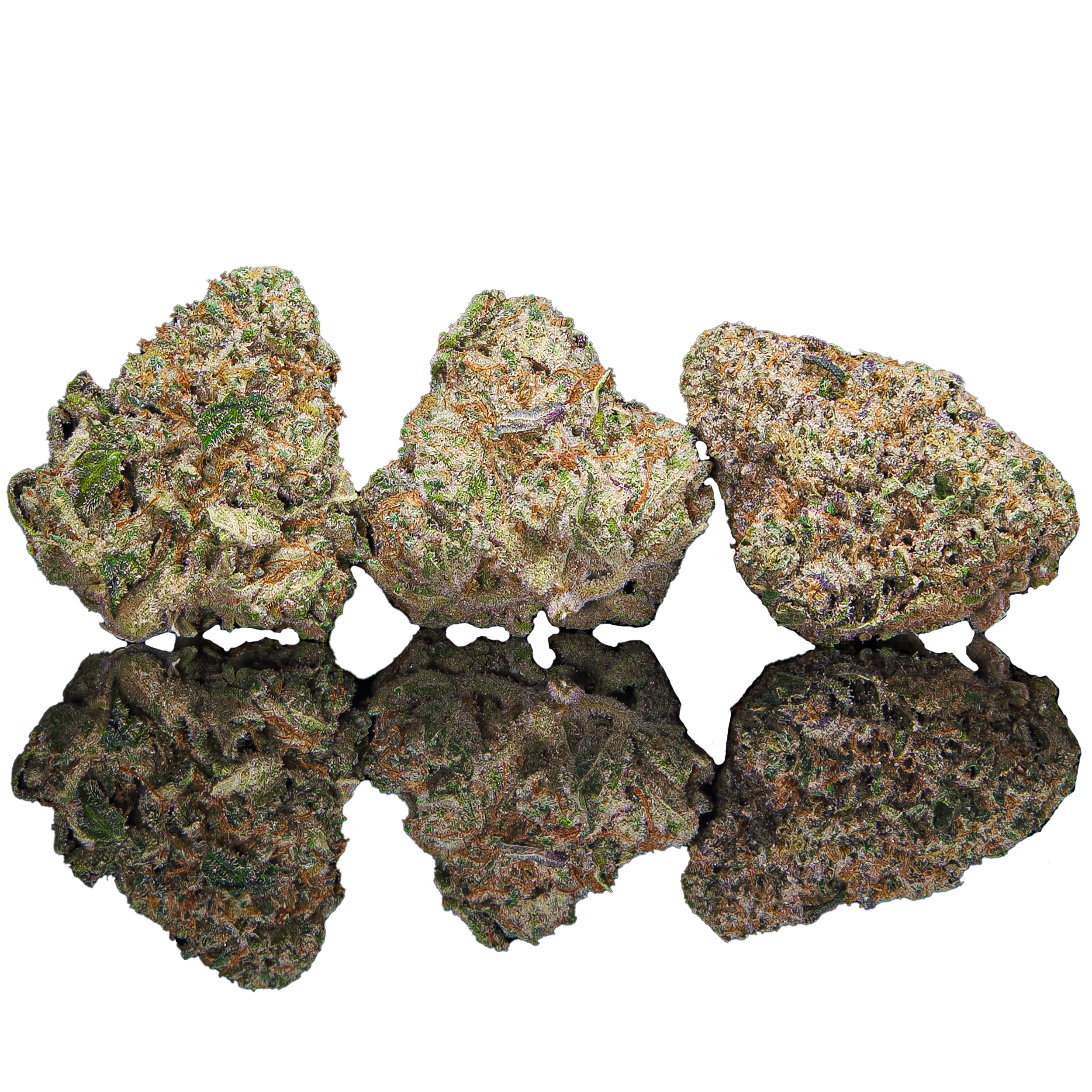 Cream Of The Crop Connoisseur Flower