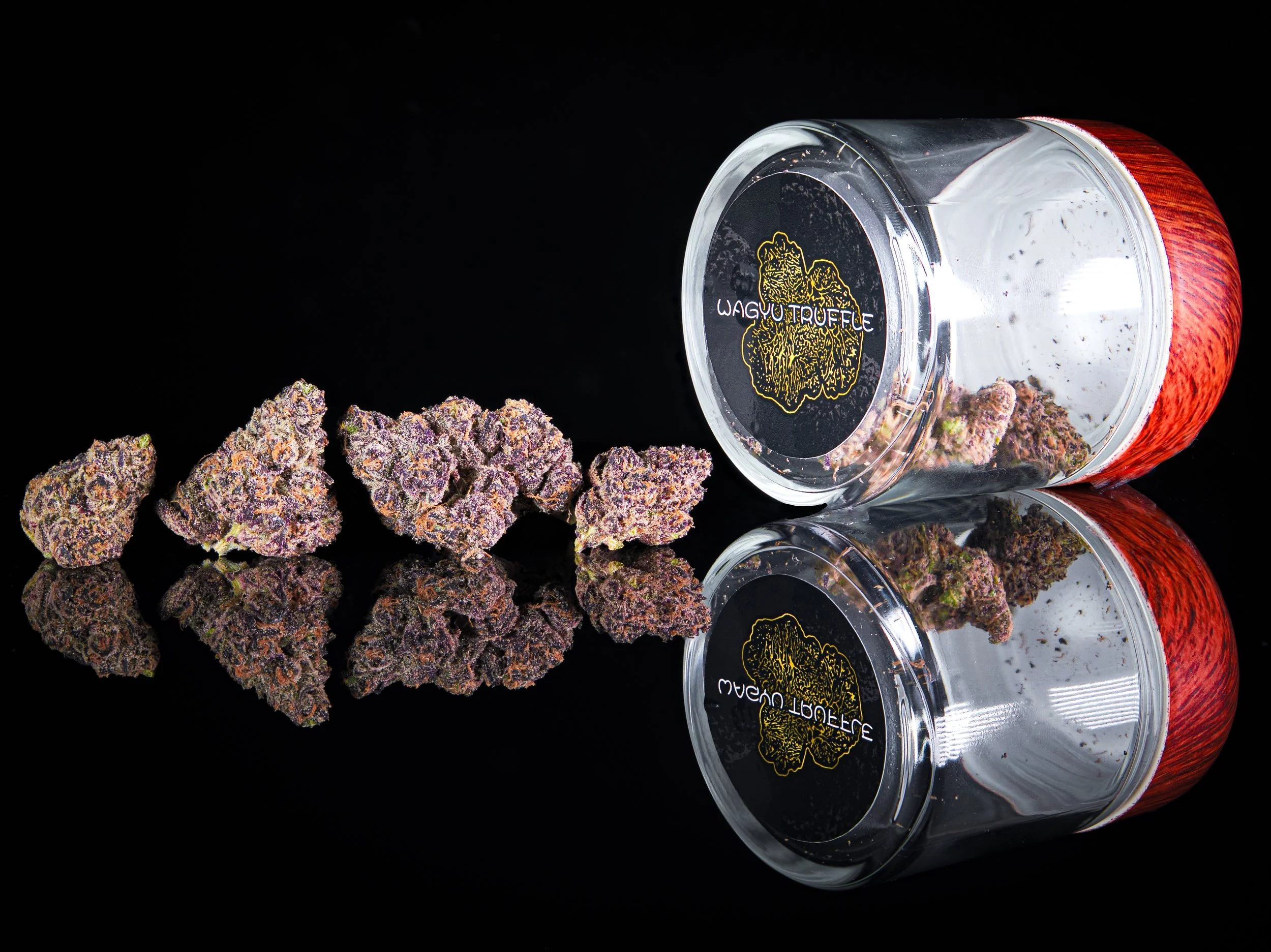 BIG CHIEF FLOWER W JAR.jpg