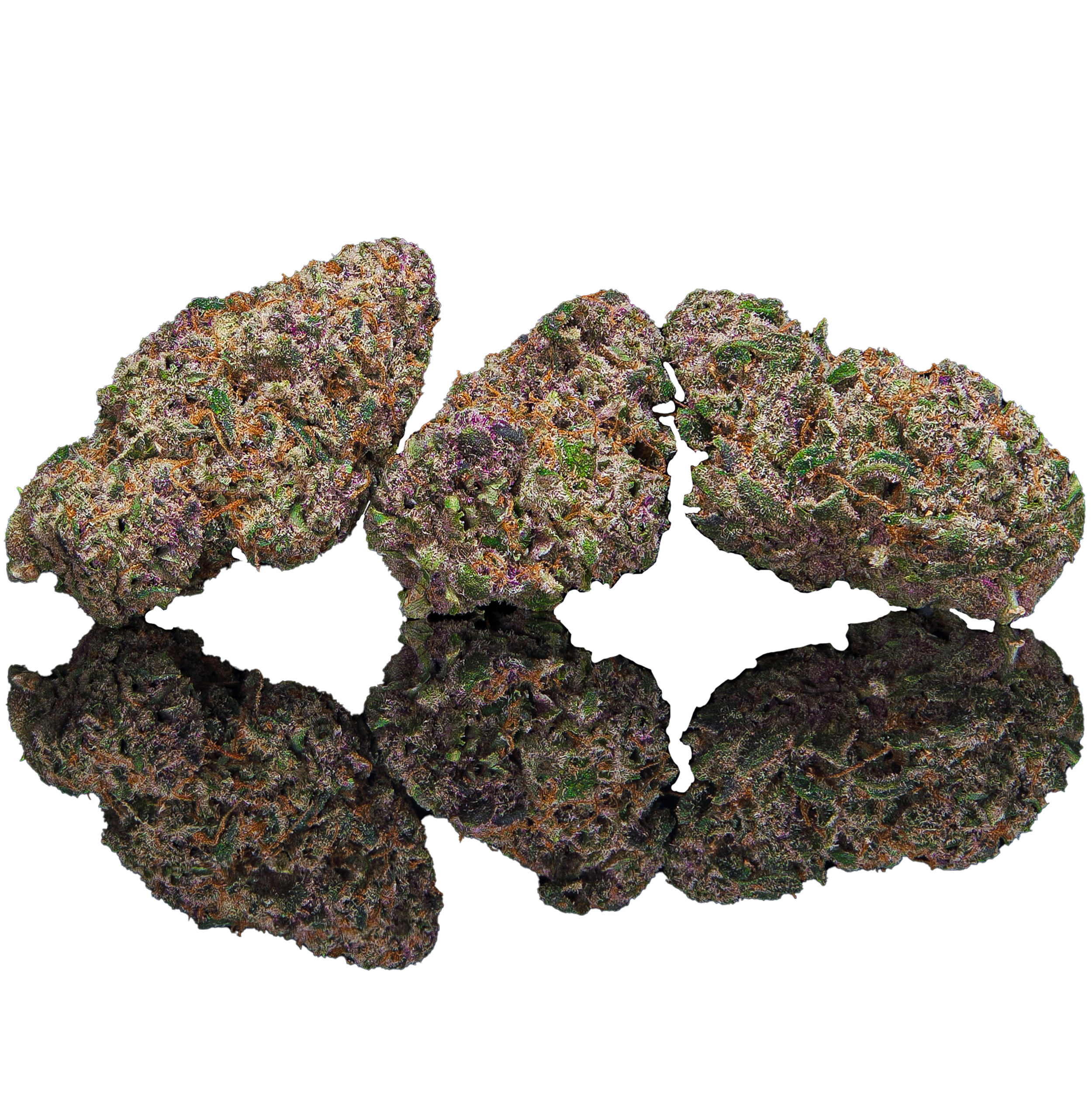 Cream Of The Crop Connoisseur Flower