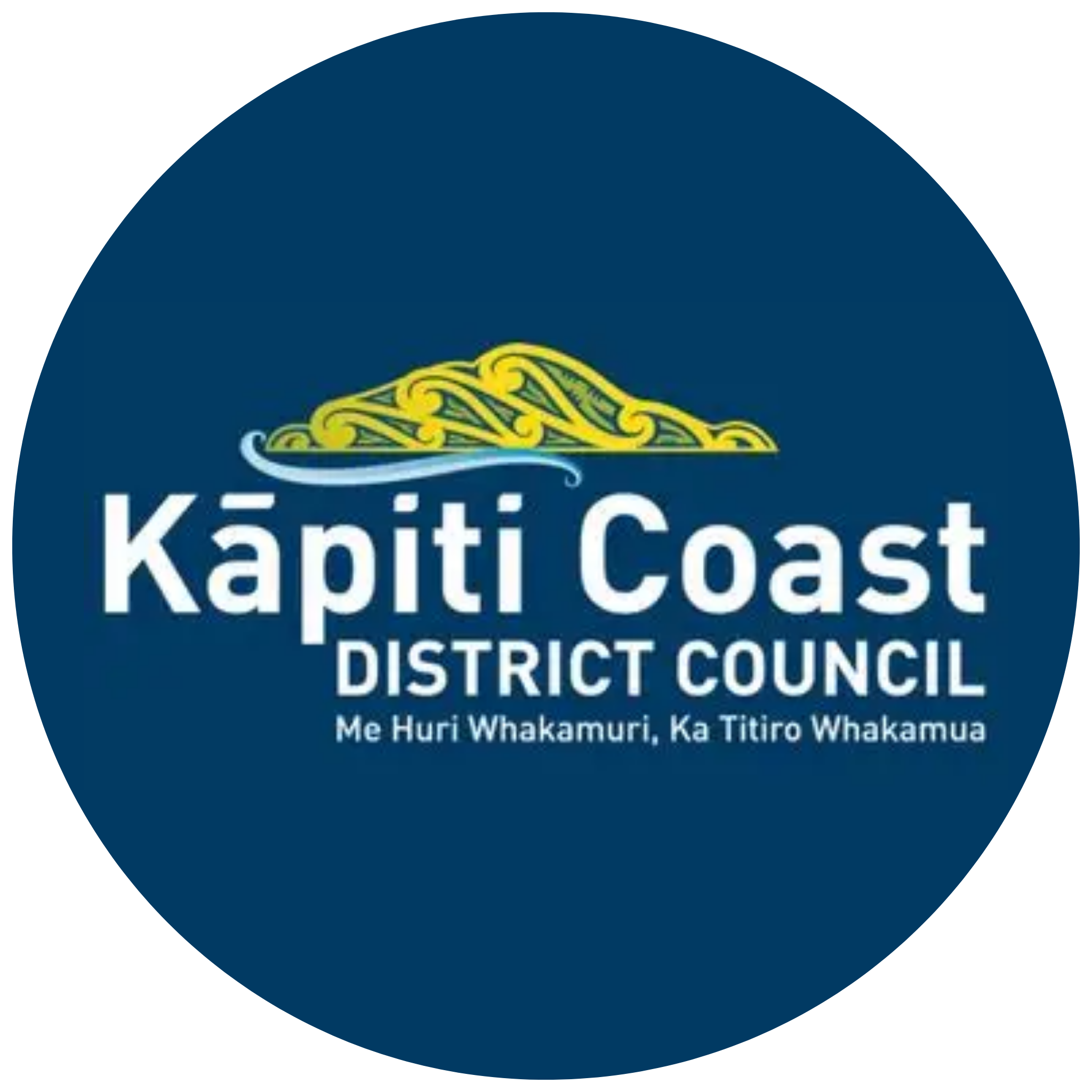 Kaitohutohu Matua o ngā Rangapū me te Pāheko