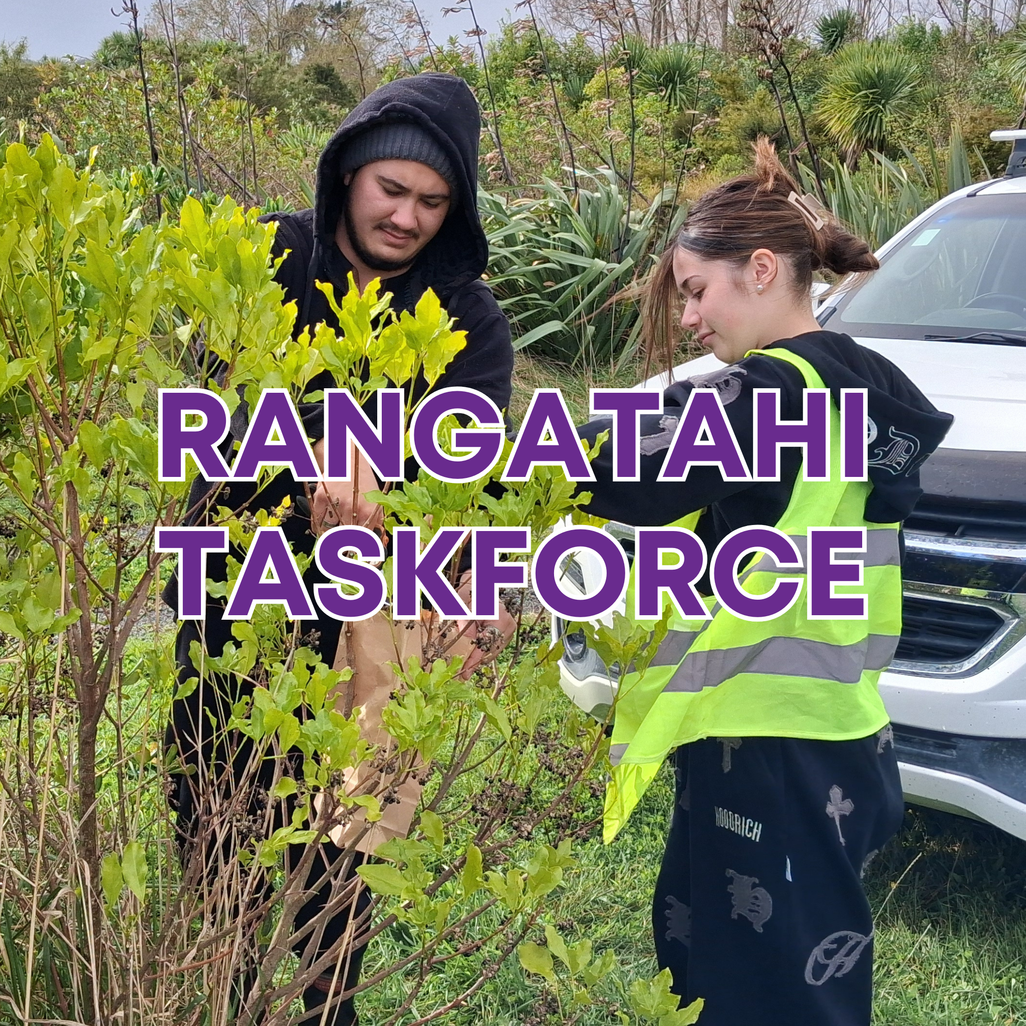 Rangatahi Workforce