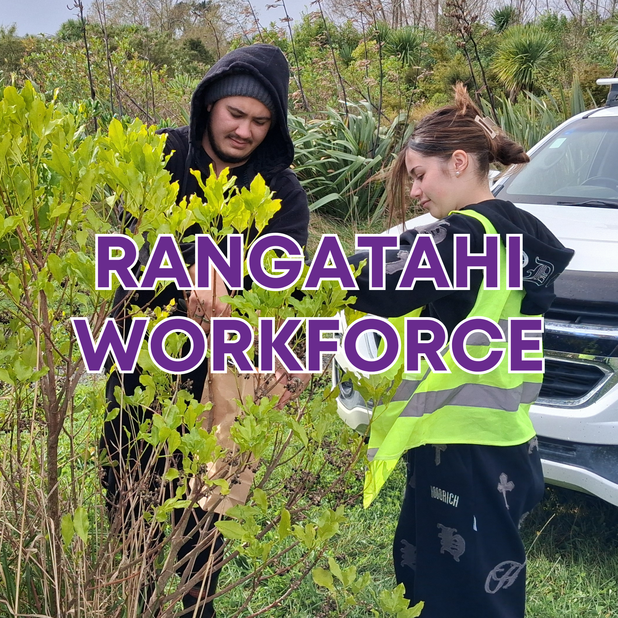 Rangatahi Workforce