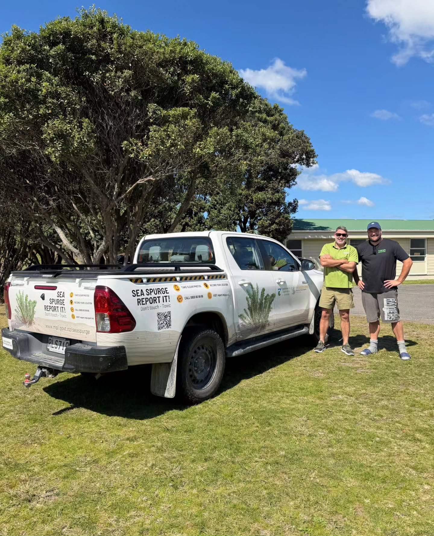 🌿 KAITIAKITANGA IN ACTION | PROTECTING OUR MOANA 🌊⁠
⁠
Our team have been working alongside James Gardner from @docgovtnz to monitor the beaches and estuaries across our rohe for sea spurge (Euphorbia paralias).⁠
⁠

So, why does this mahi matter?⁠
⁠