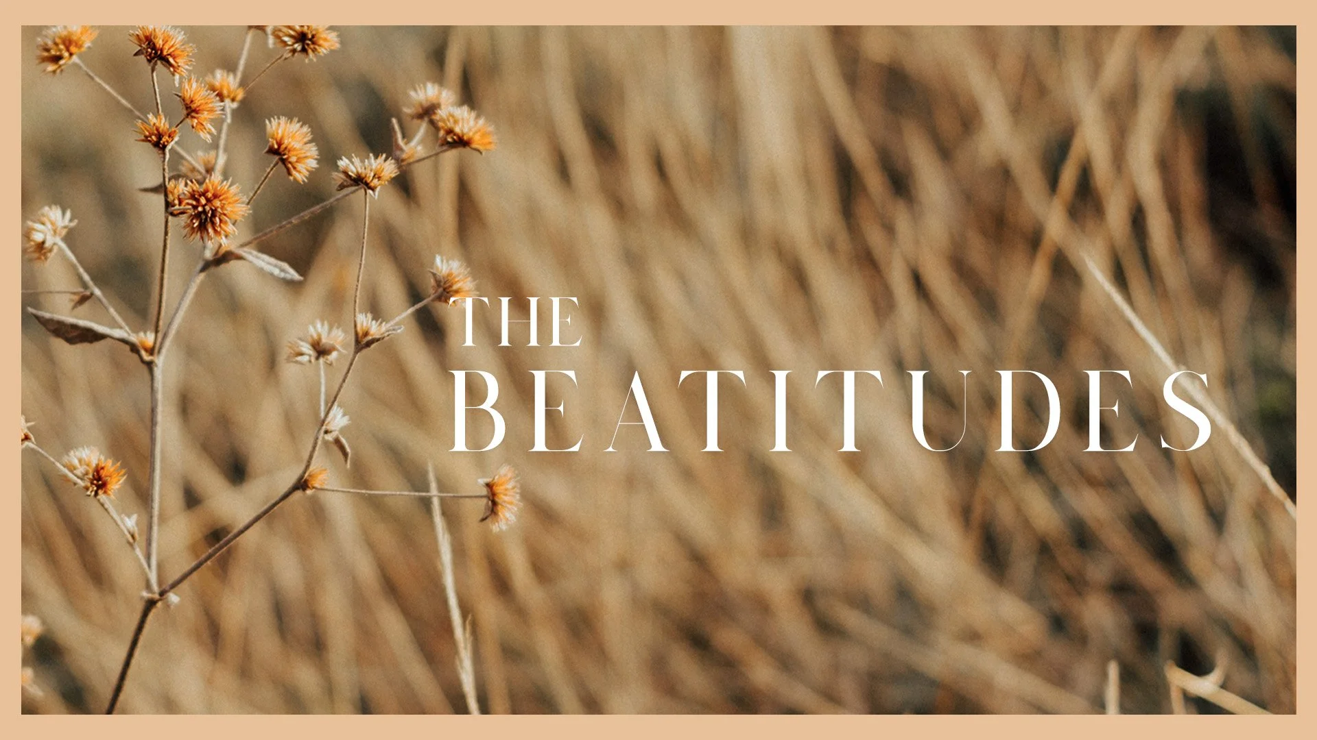 Teaching Series Branding