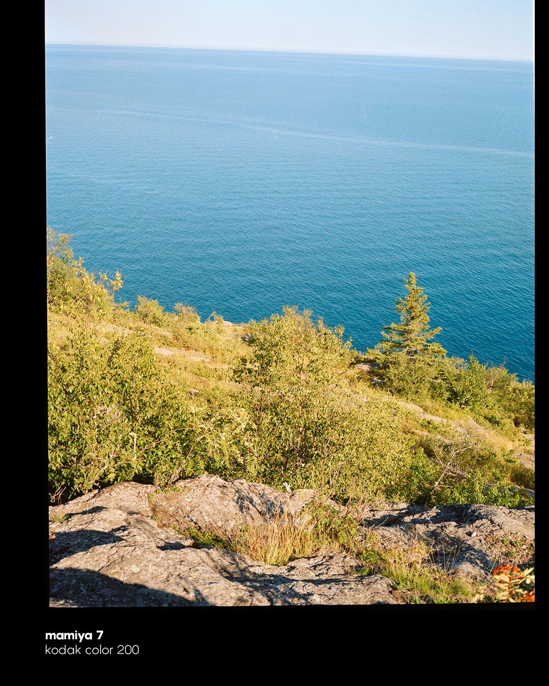 Last weeks day trip
.
@fast.foto developing
.
#mamiya #mamiya7 #kodakgold200 #kodak
