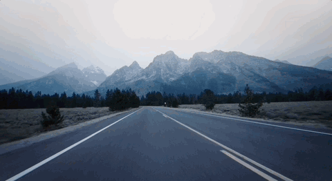 Aug-23-2023 10-00-57.gif