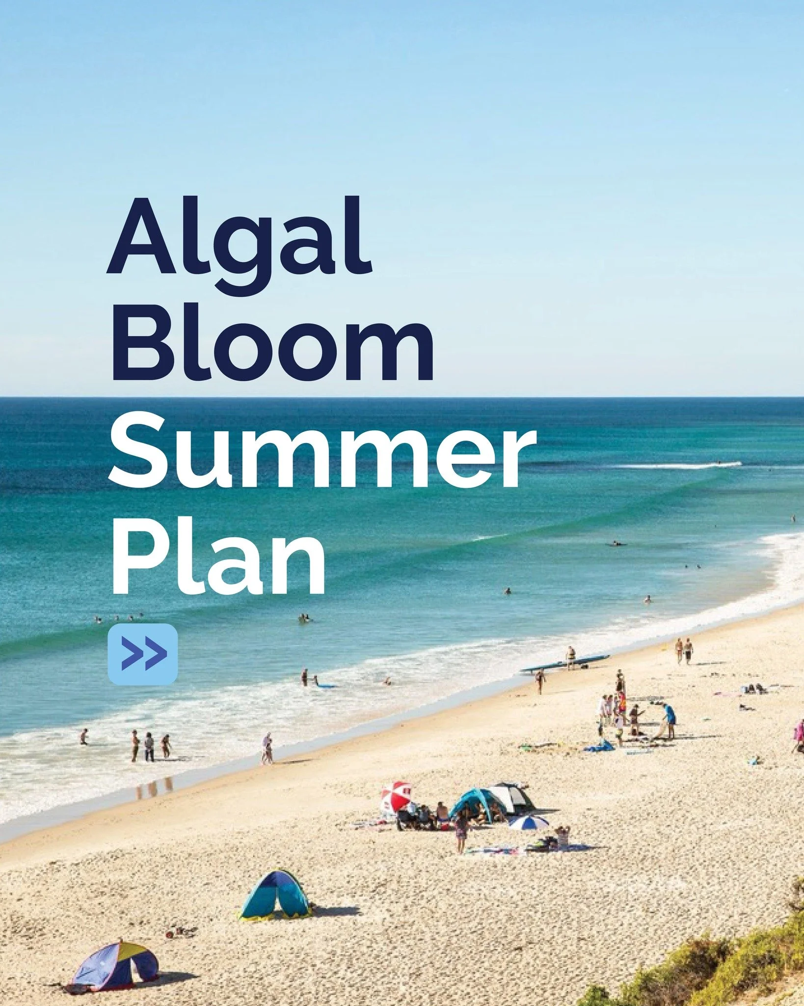 This week, the Federal and State governments released the $102.5 million Algal Bloom Summer Plan. It&rsquo;s an important milestone and is the result of months of painstaking consultation with experts, industry and the broader community.
