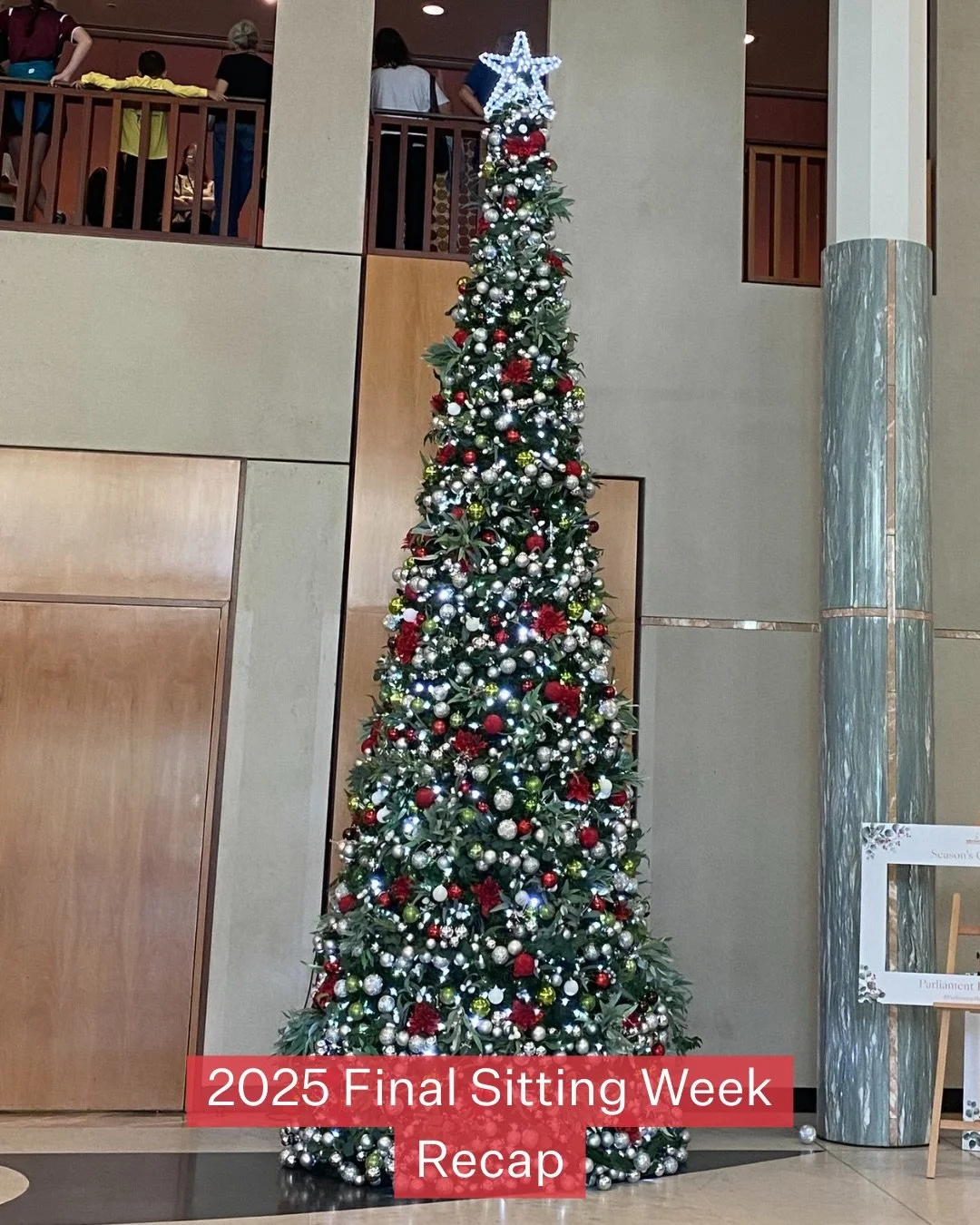 Sitting week recap . . .