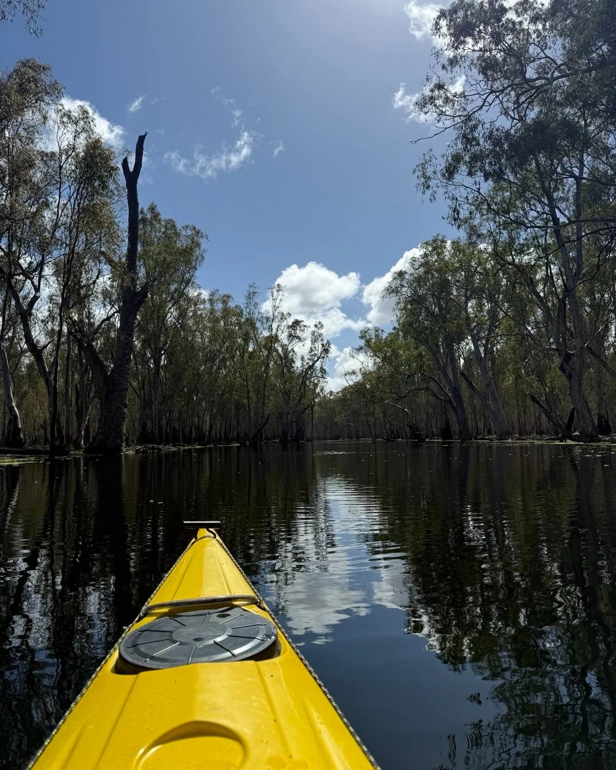 Happy World Wetlands Day!

Our wetlands are complex and precious living systems that reinforce our food security and biodiversity by providing a critical habitat for insects, migratory birds, and pollinators.

So here&rsquo;s to all the billabongs, o