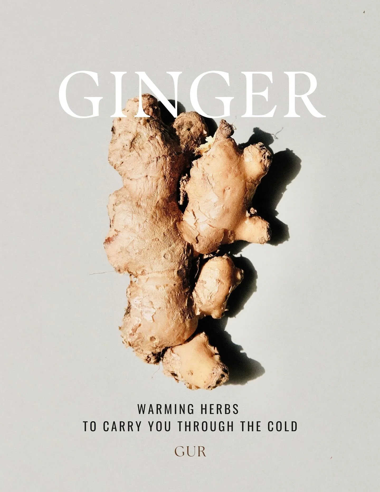 Starting a new series to help you find the best herbs to support your body and mind through this season. 🍂 Warming herbs to carry you through the cold ✨
Today we’re talking about ginger — one of my favorite warming herbs. I love using i