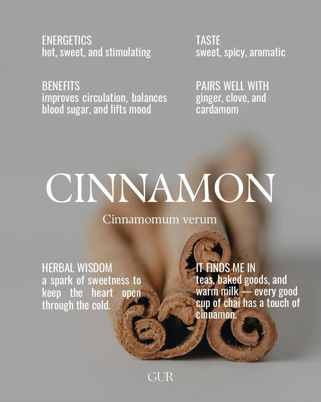 Warming herbs for the cold season 🌿
Warming, steady, comforting.
A gentle lift when the days feel heavy.