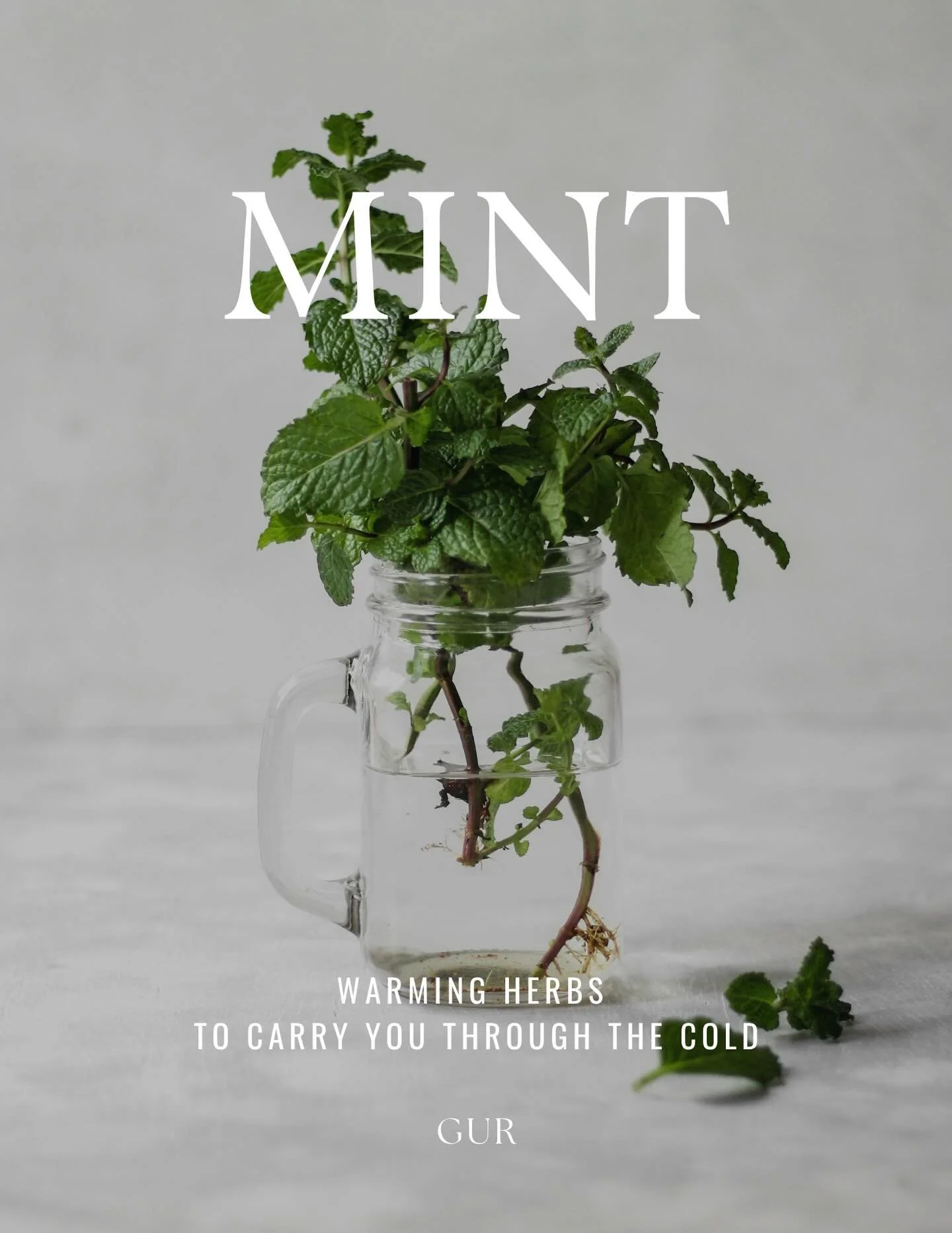 Mint has always felt like a bit of a shape-shifter to me. Cooling and bright on a hot day, yet somehow warming and activating when the air turns cold. It meets the body where it is &mdash; clearing, opening, and gently awakening without overwhelm. A 