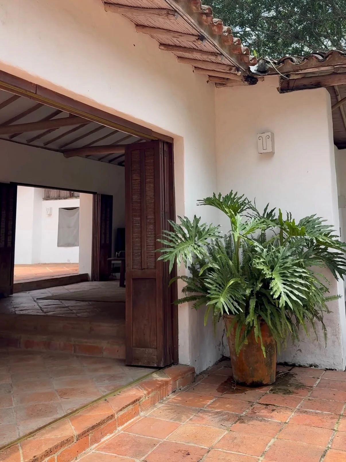 I could feel it starting in early February. The heaviness. The low energy. A kind of sadness the cold throws on me, it builds quietly after months of holding everything together when all the body wants is to stay in bed. 

Back home, Grant and I carr