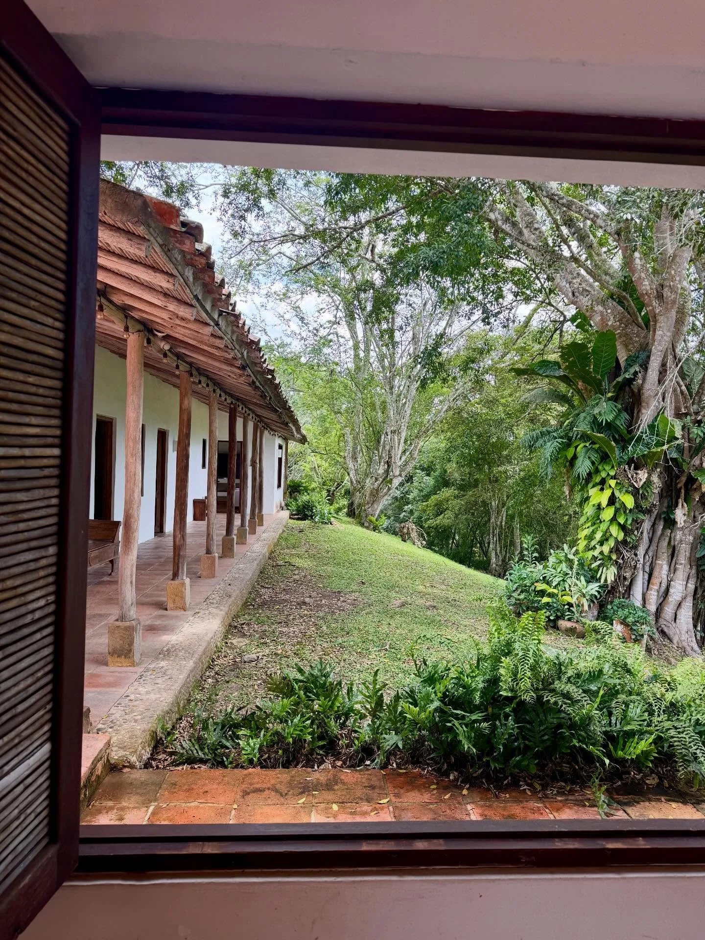 My stomach has been in shambles since I landed in Colombia.

It happens almost every trip. The body goes on high alert when we travel. You&rsquo;re either in fight or flight, or you&rsquo;re digesting. Those two don&rsquo;t really cohabitate.

This w