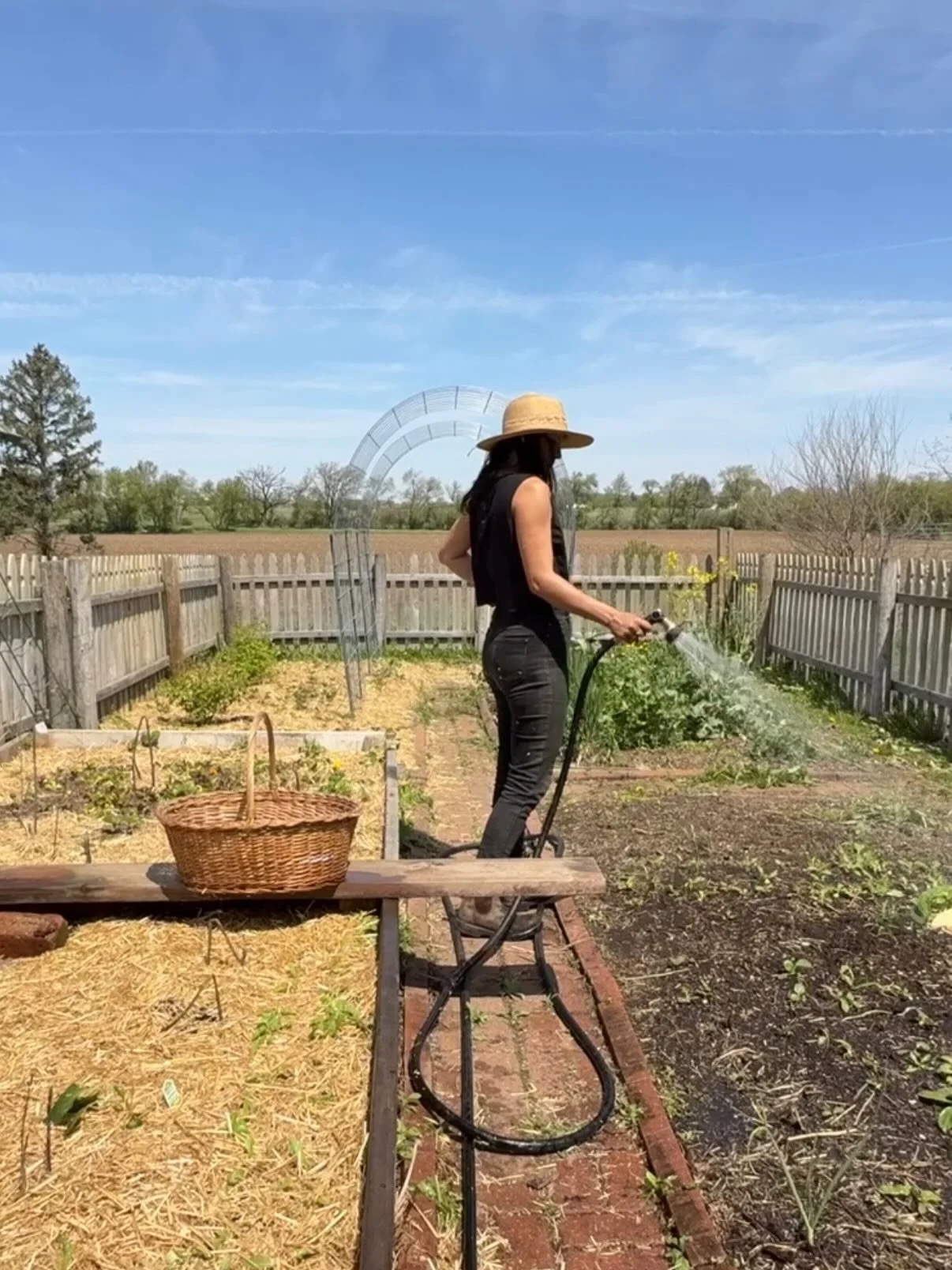 Spring at the farm 🌸 Watering seeds daily, harvesting lilacs for Summer blend, spending every warm moment outside, packing your orders, reading out loud, playing tennis, and celebrating friends.