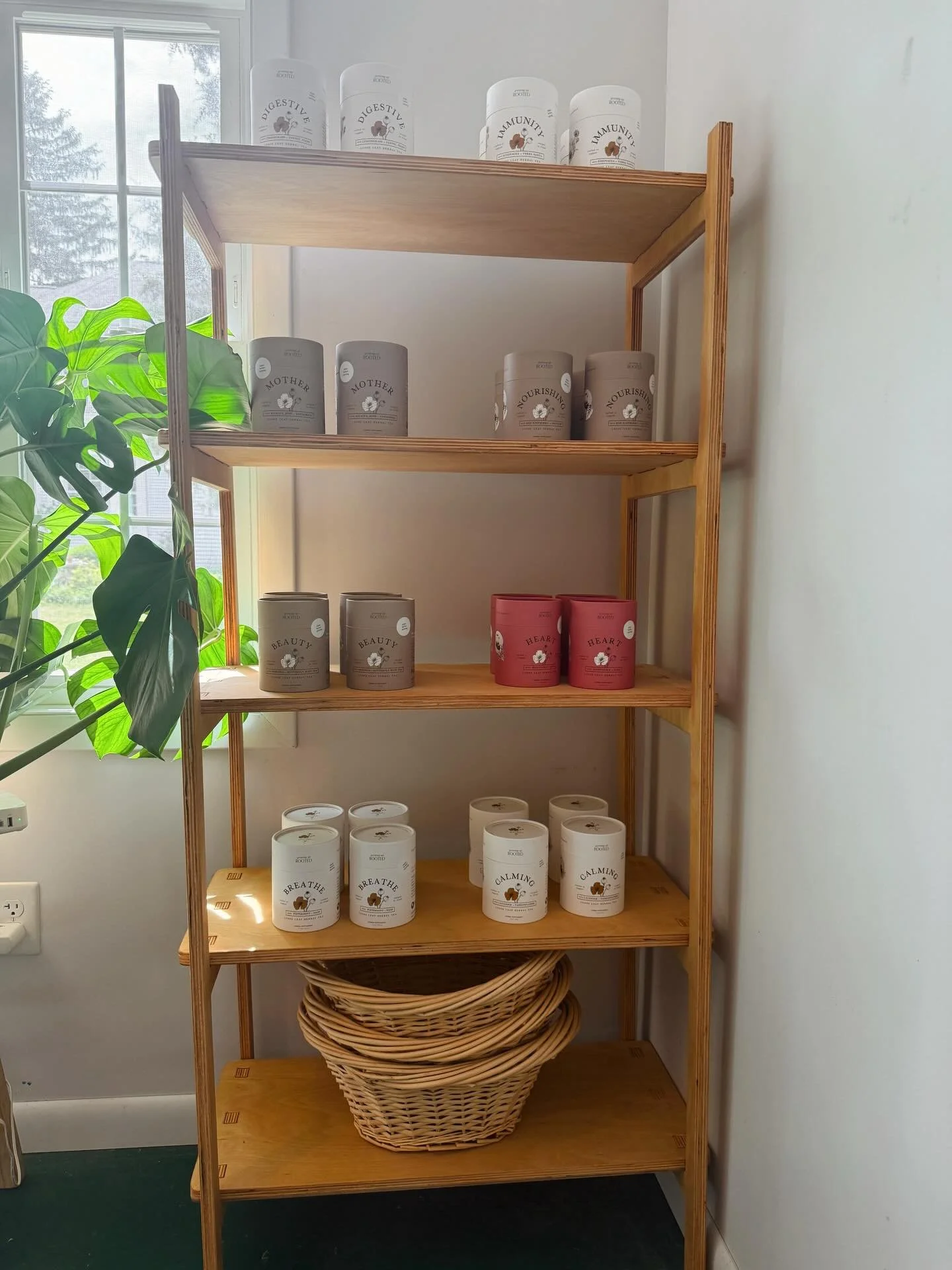 A small corner of the apothecary to showcase my cuties 🌿

This space is still very much a work in progress. The green paint is chipping off the cement floor, old lighting rods take up too much space on the ceiling, and I dream of adding skylights on