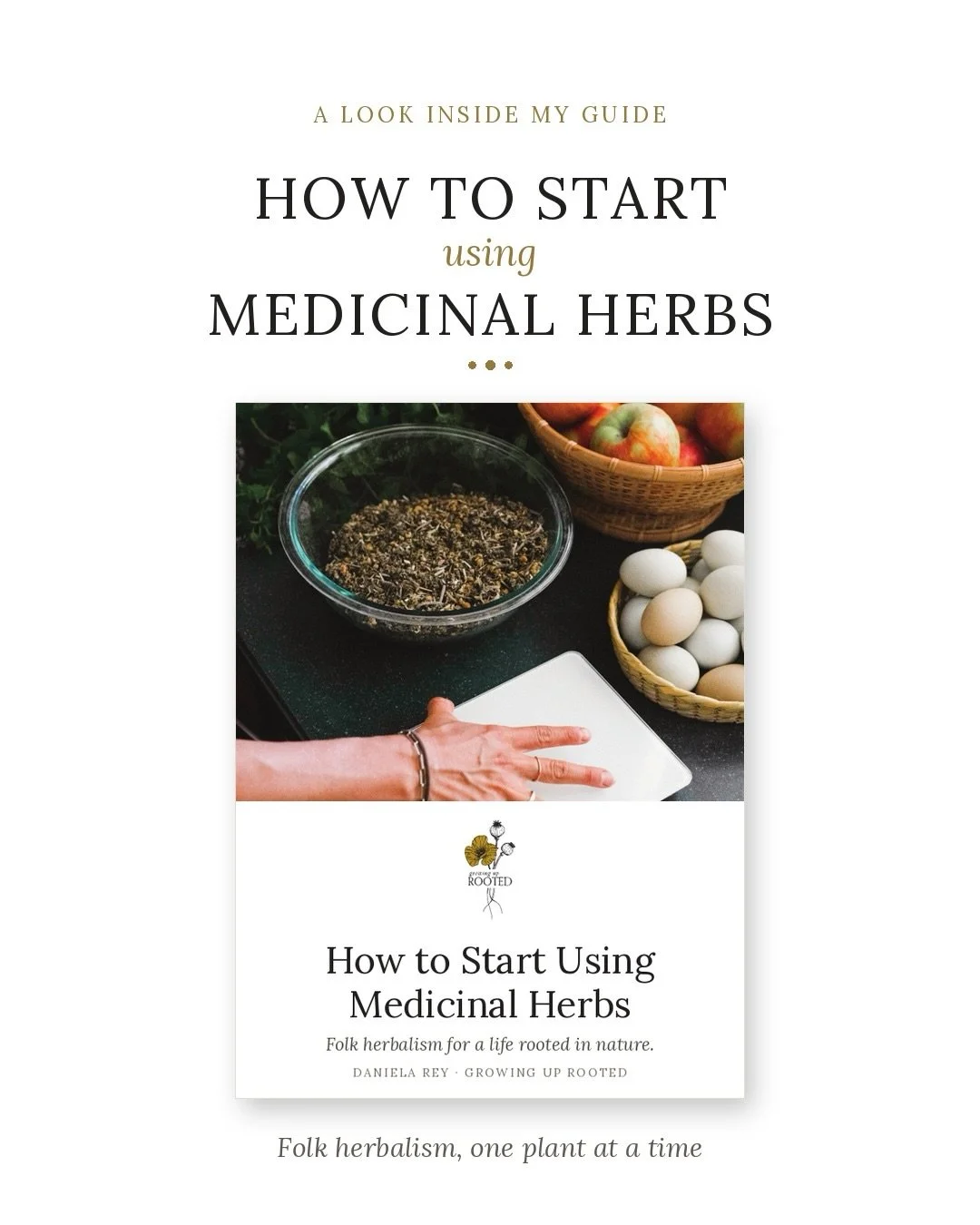 So many great resources in this collection, but if you want to live a little closer to nature, these are the five I&rsquo;d start with:

🍄 Gardening with Mushrooms by @jencaputomurphy
🐓 Beginner&rsquo;s Guide to Backyard Chickens by @whitepecanfarm