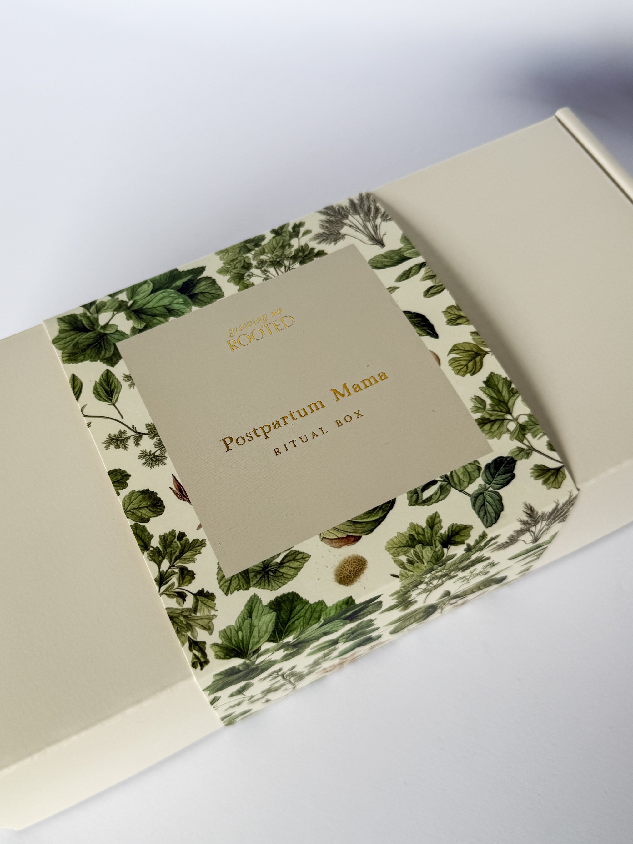 Growing Up Rooted Herbal Tea-7.jpg