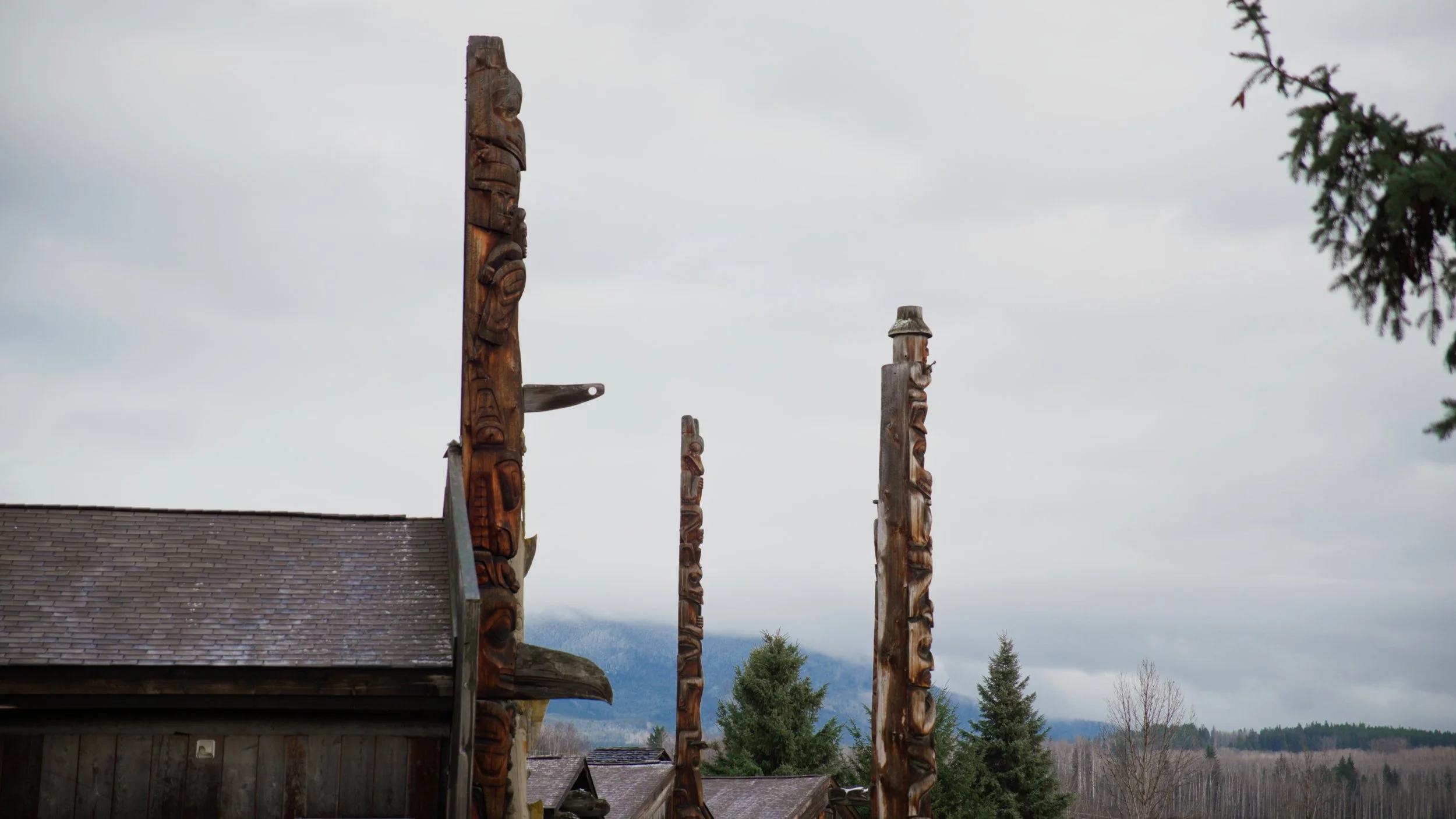 Watershed_1.131.1.jpg