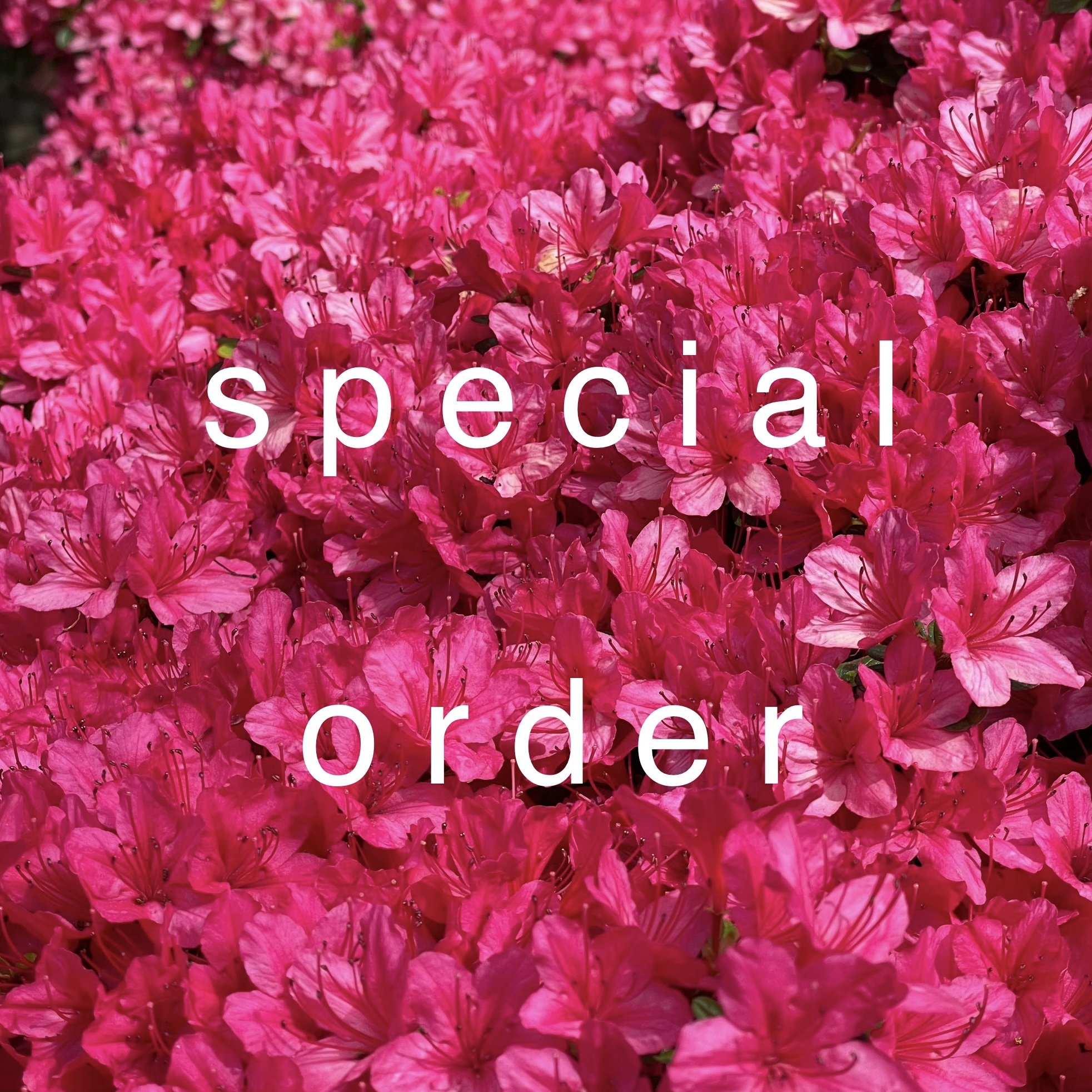 Special Order for Megan