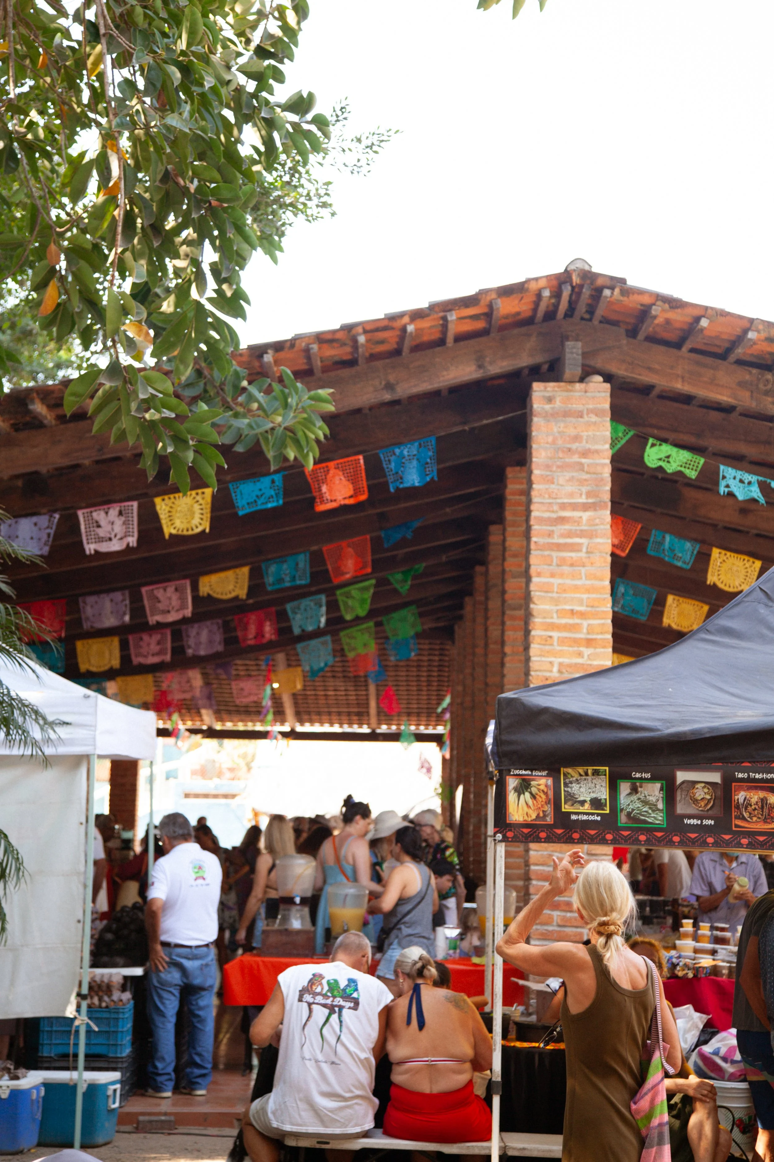 San Pancho Market Day
