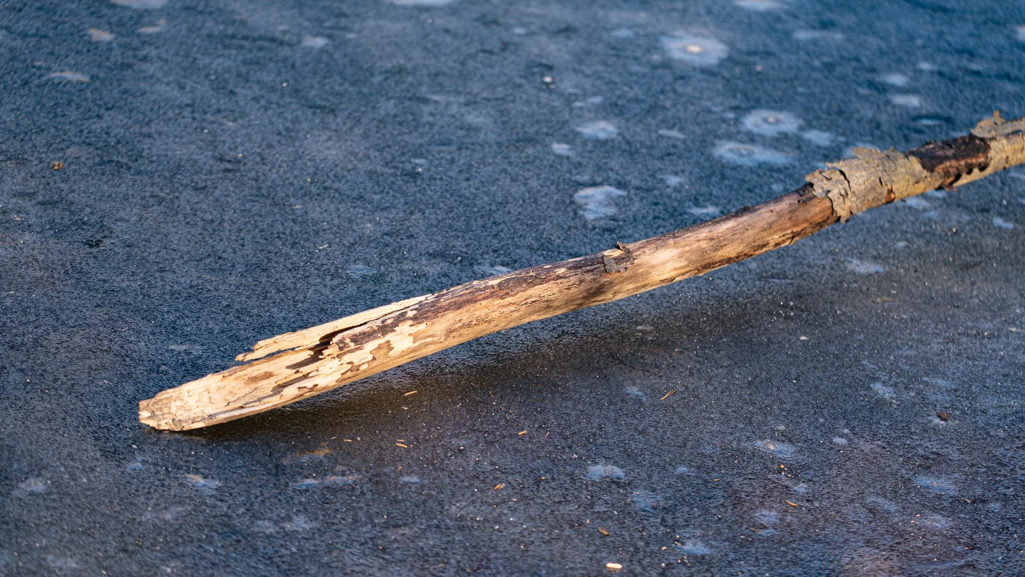 Thankful for the Little Things in Life