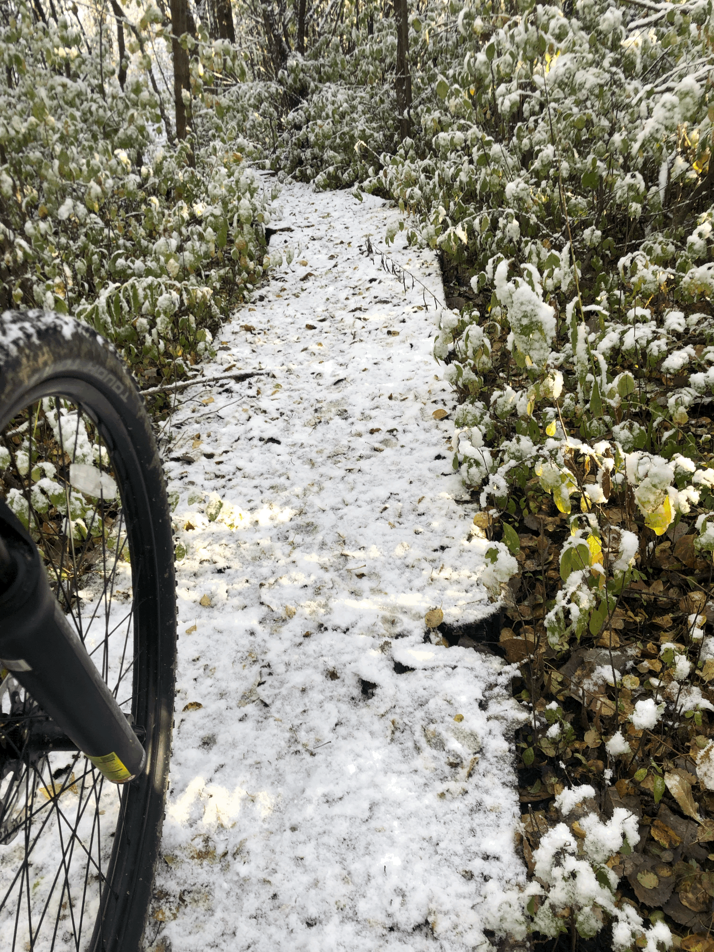 Taking the Back Trail