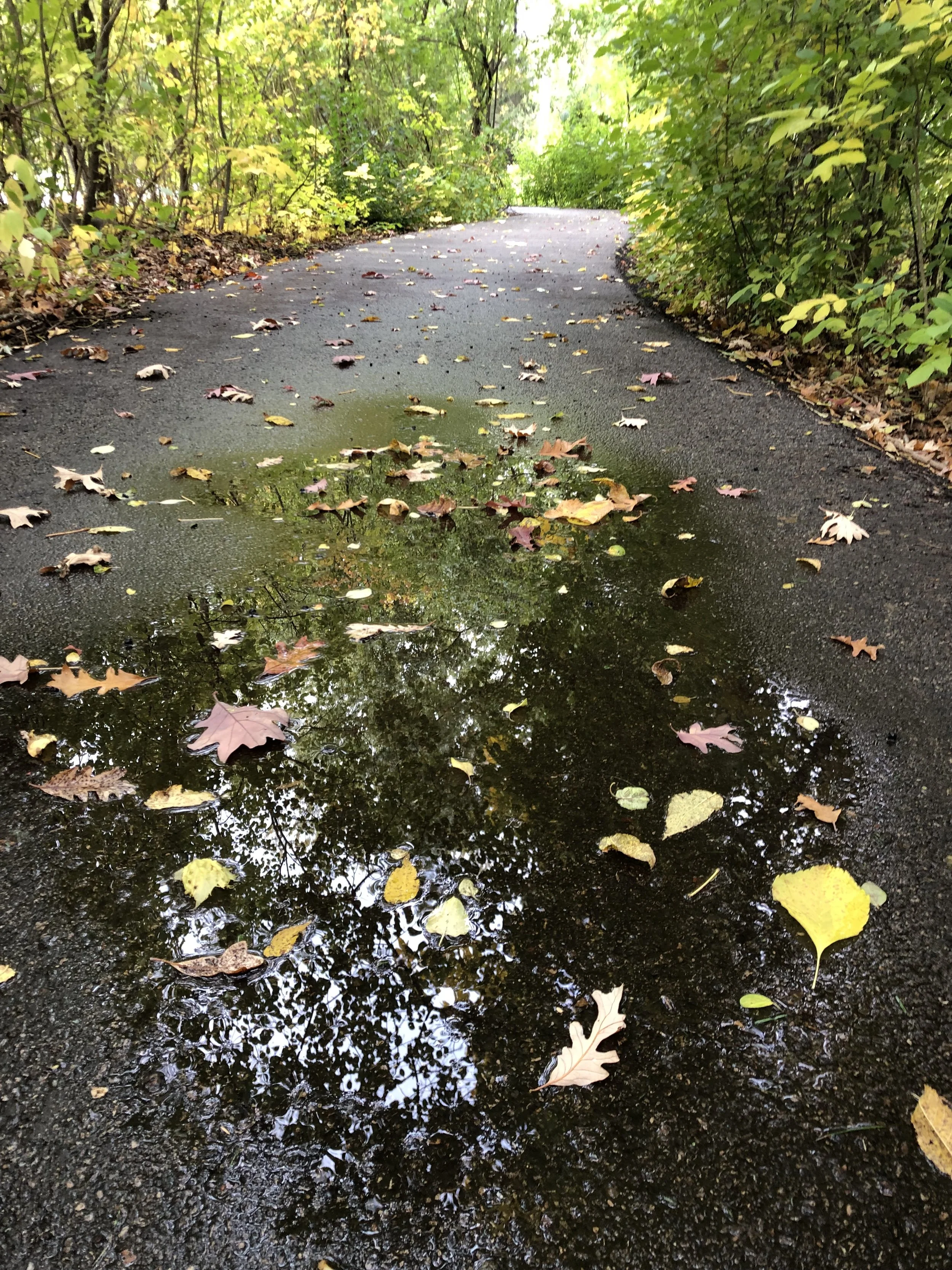 Keeping our dreams alive