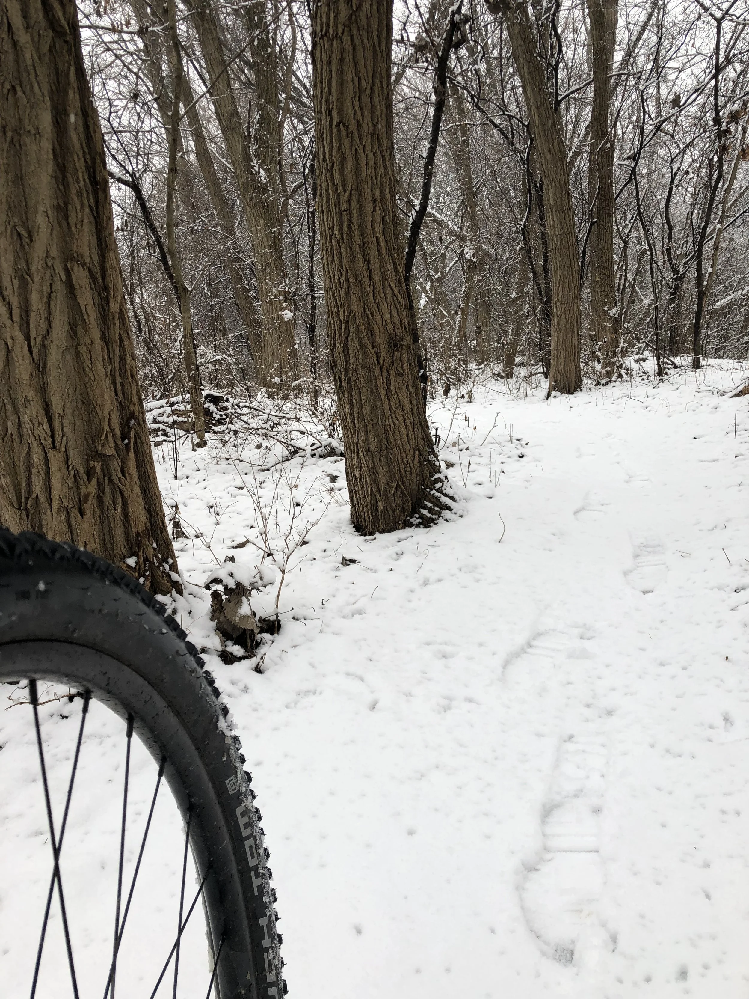 Biking in the snow