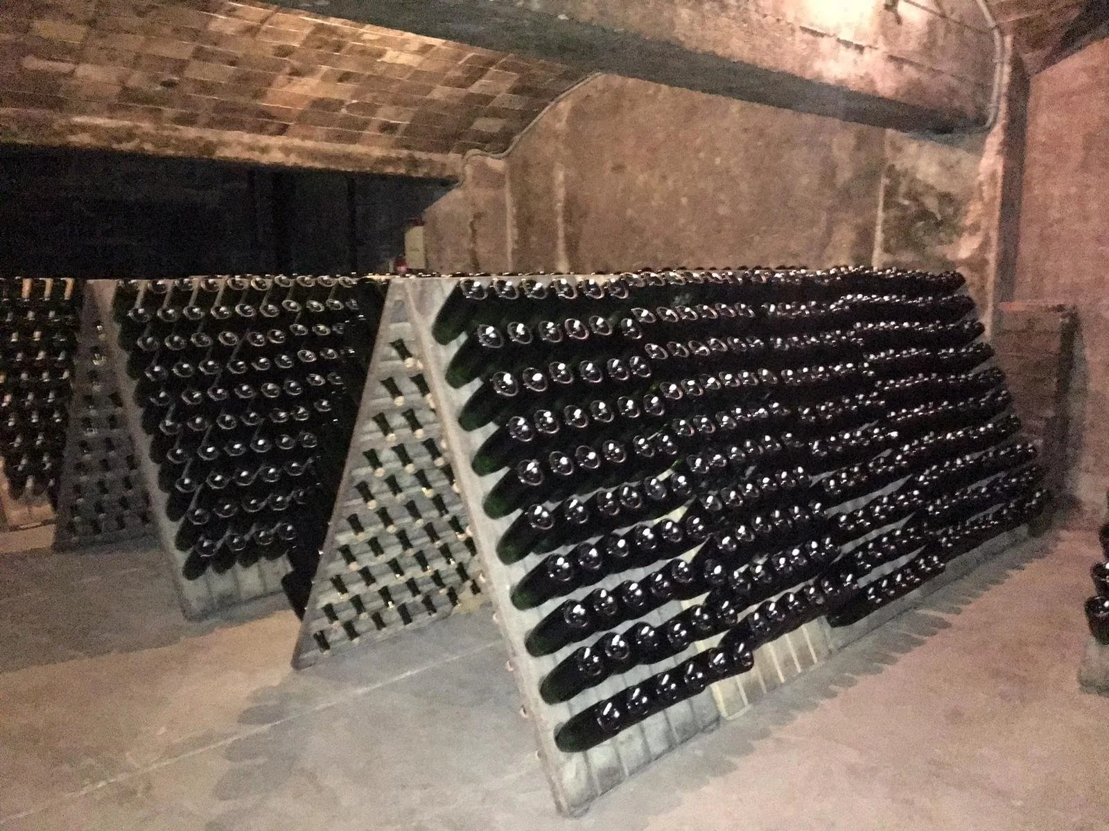 WhatsApp Image 2024-01-22 at 11.01.10.jpeg